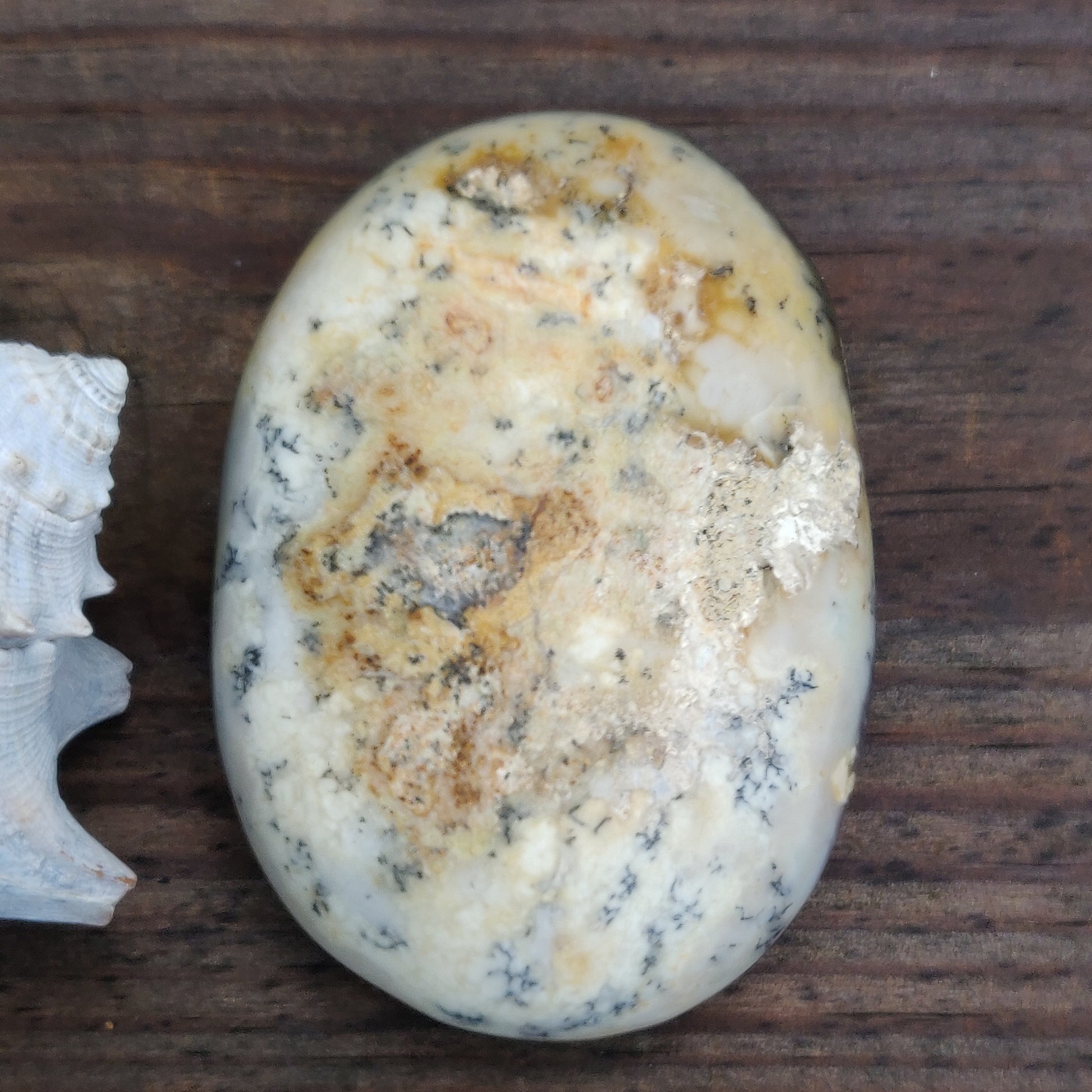 Purple Dendritic Opal Palm Stone (#35) - Simply Affinity