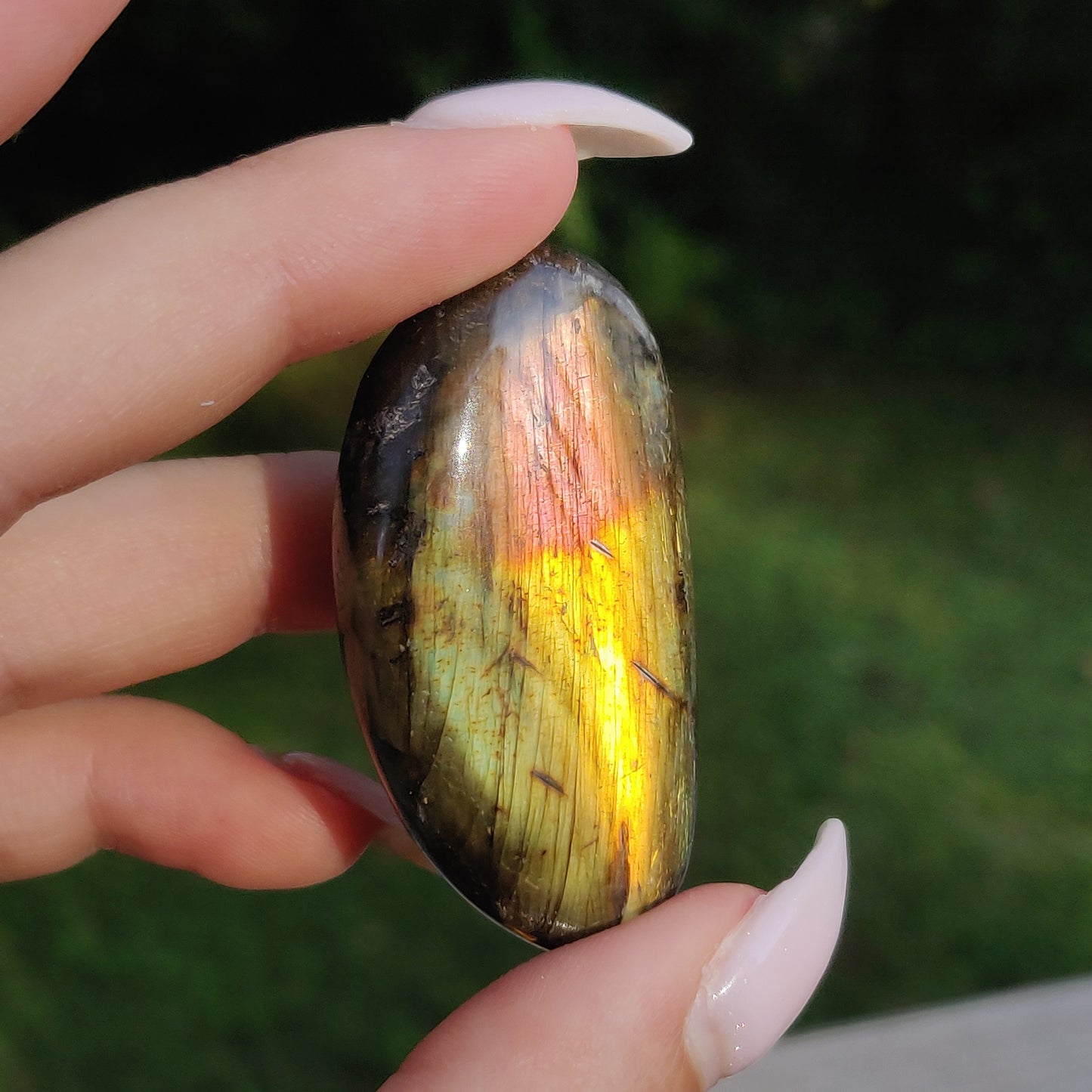 Labradorite Pocket Stone (#236) - Simply Affinity