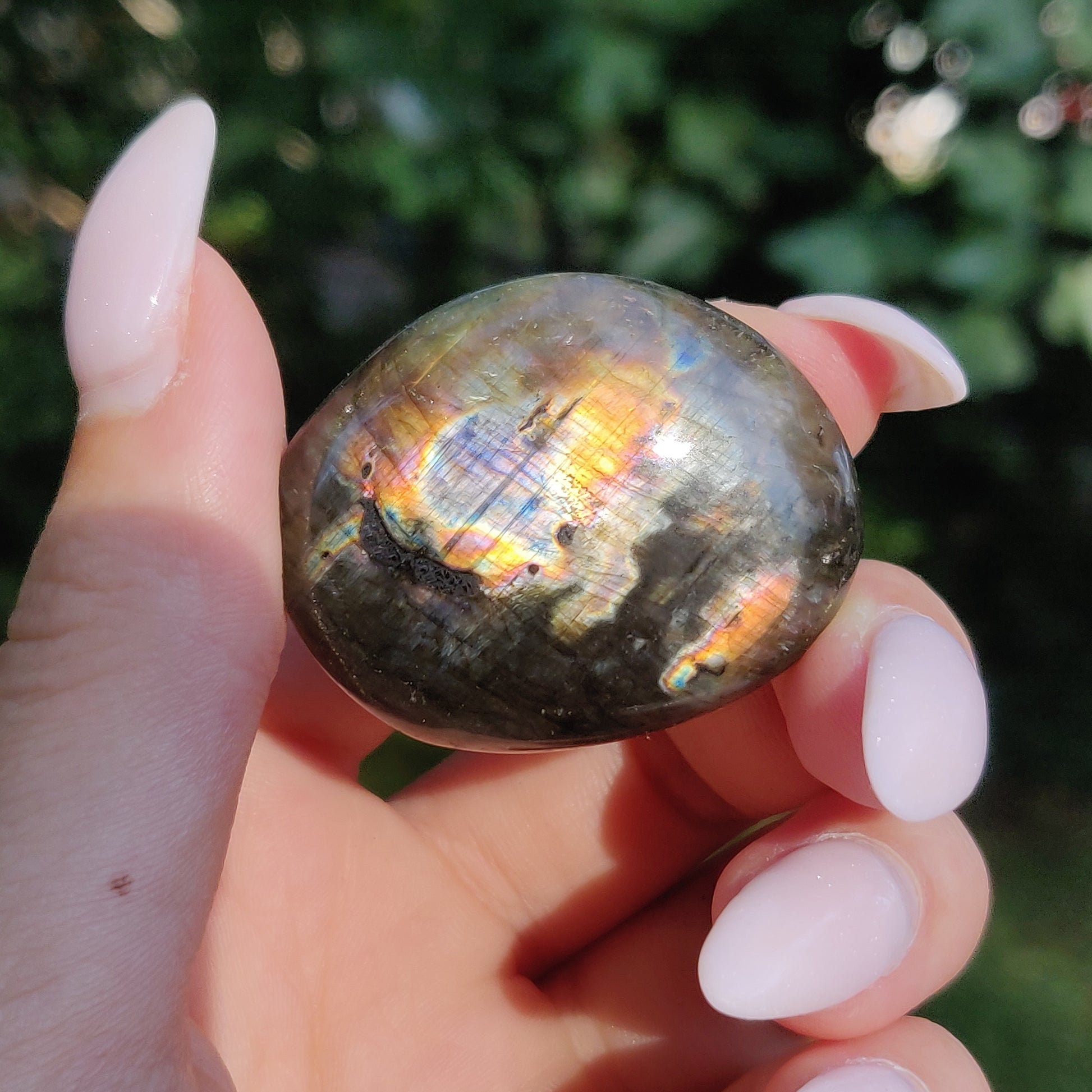 Labradorite Pocket Stone (#199) - Simply Affinity