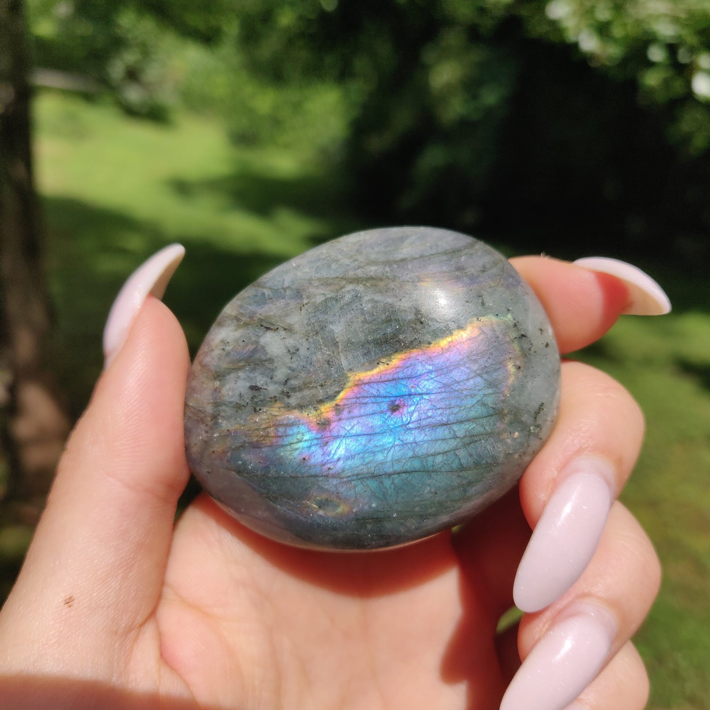Labradorite Palm Stone (#36) - Simply Affinity