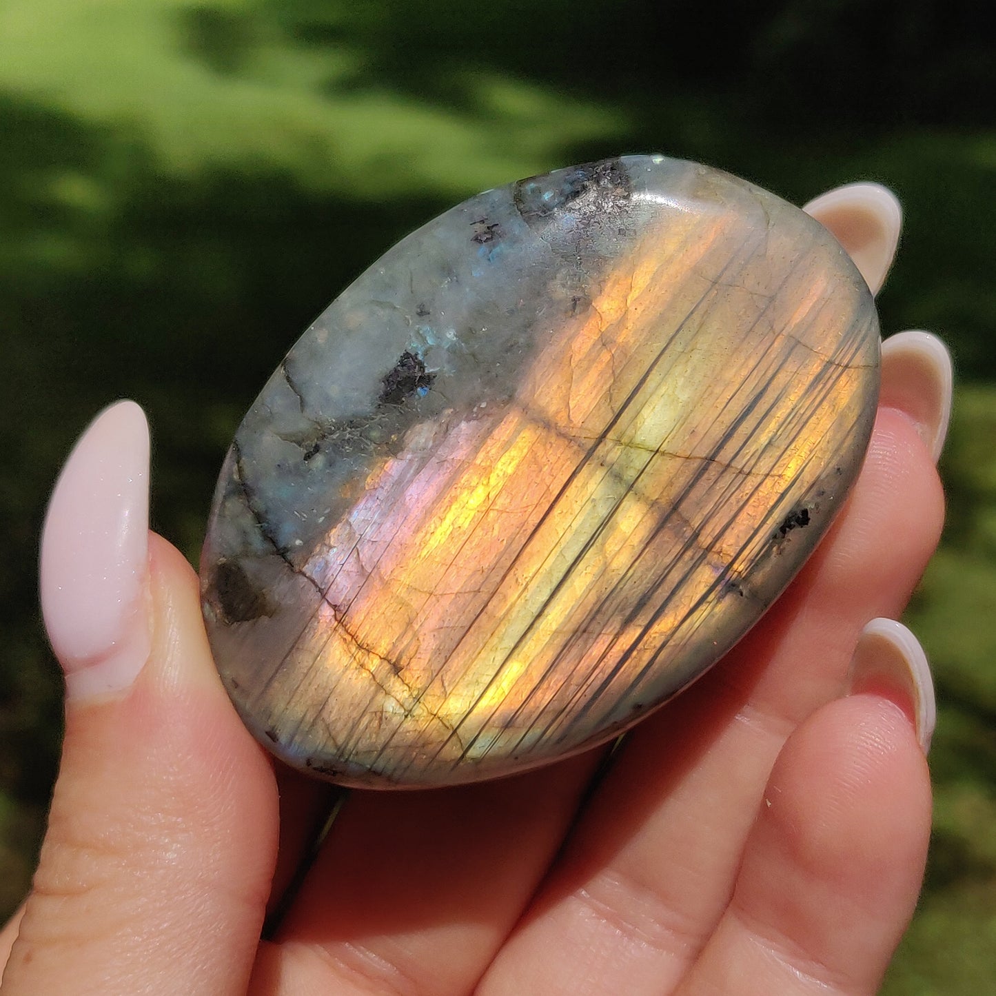 Labradorite Palm Stone (#65) - Simply Affinity