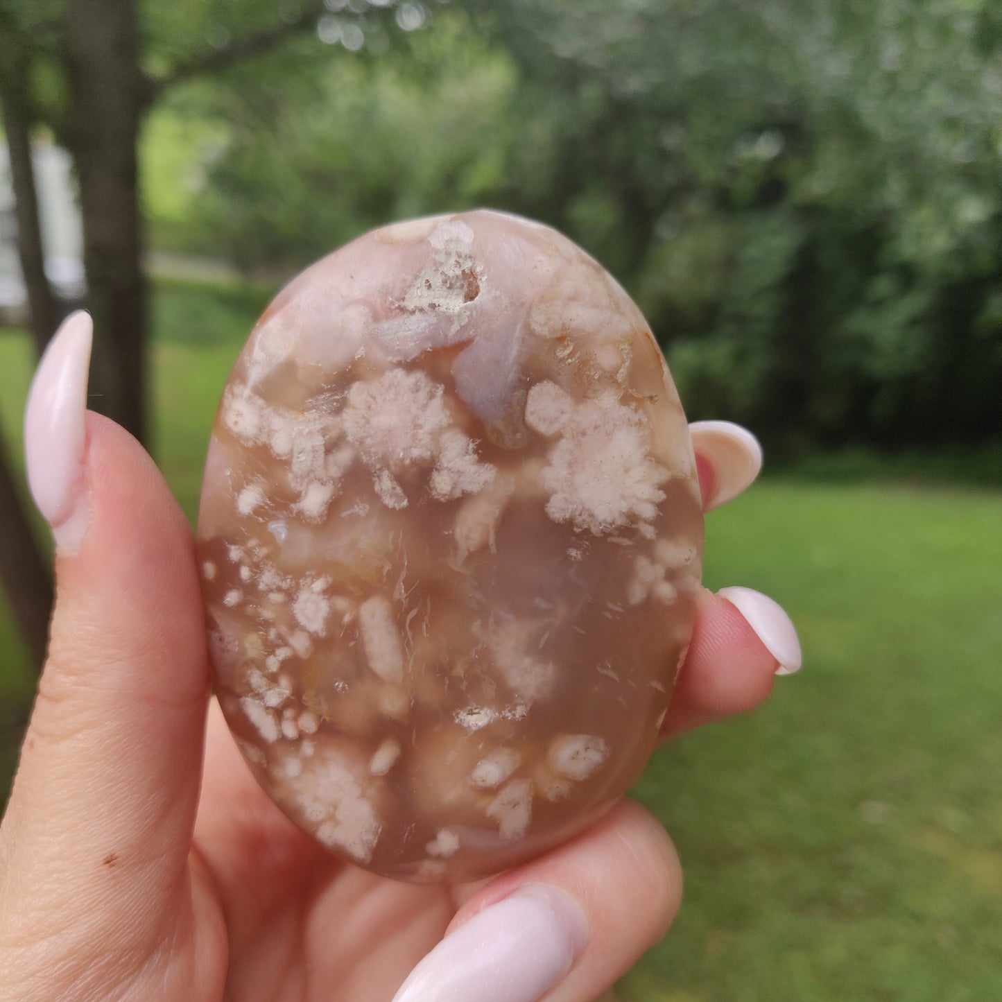 Flower Agate Palm Stone (#55) - Simply Affinity