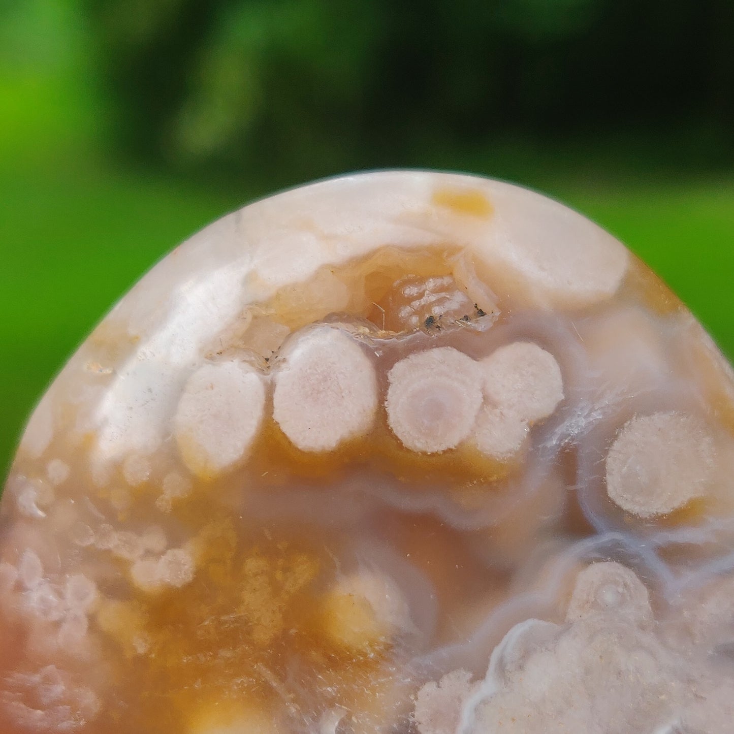 Flower Agate Palm Stone (#60) - Simply Affinity