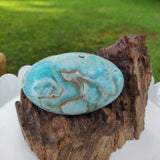 Blue Aragonite Palm Stone (#16) - Simply Affinity