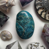 Blue Apatite Palm Stone (#5) - Simply Affinity