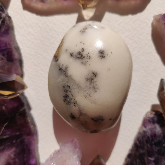 Dendritic Opal Palm Stone (#39) - Simply Affinity