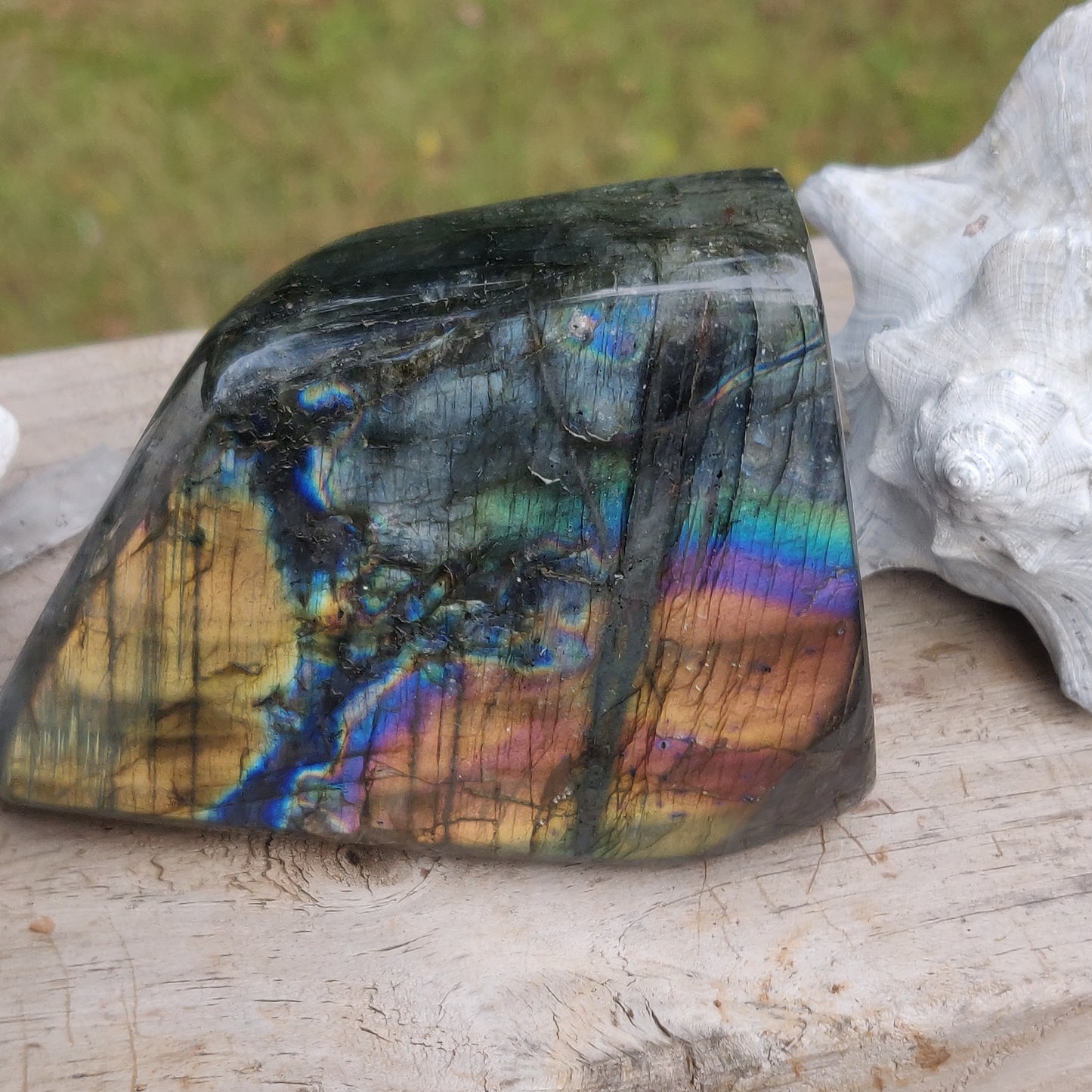Labradorite Free Form (#E8) - Simply Affinity
