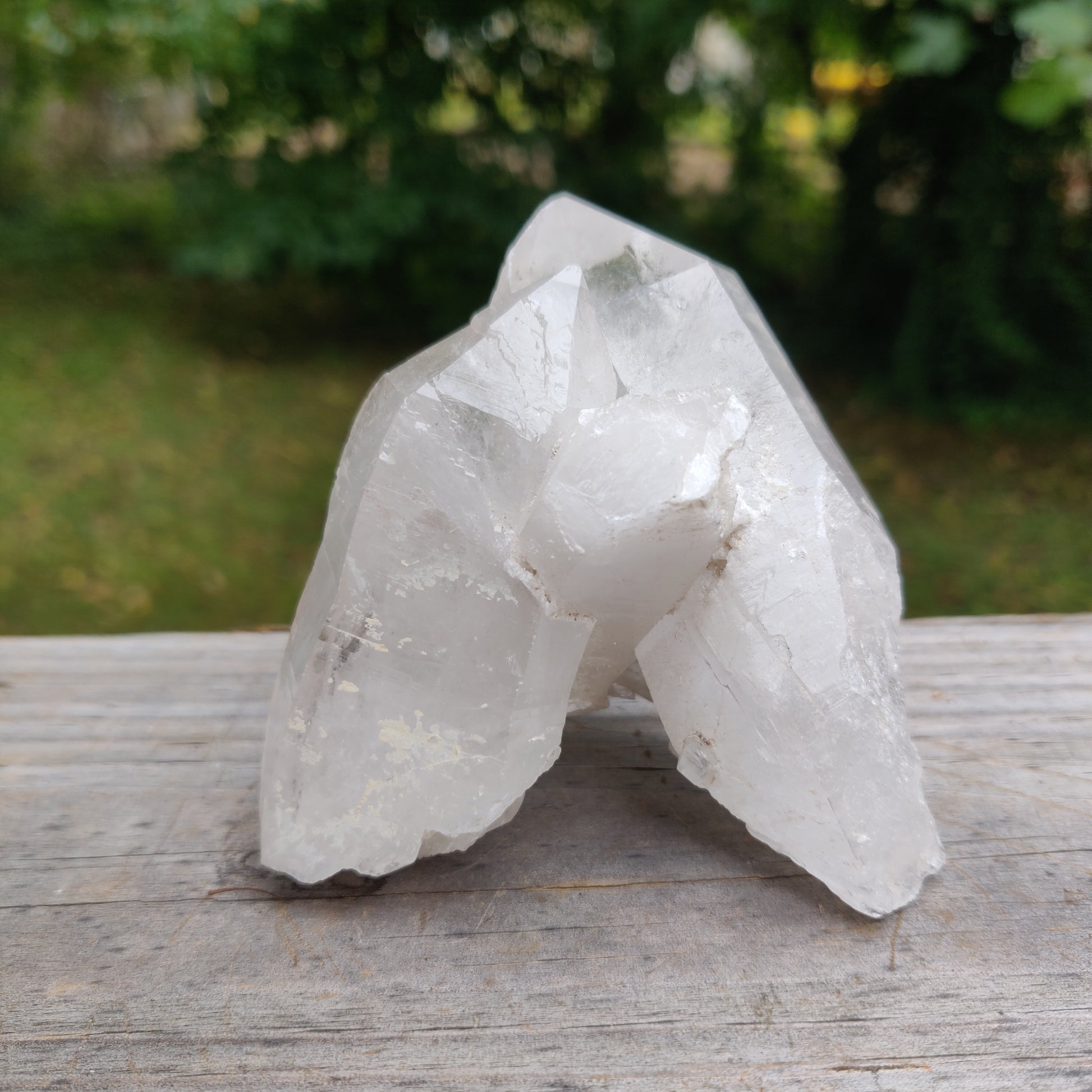 Lemurian Quartz Point (#10) - Simply Affinity