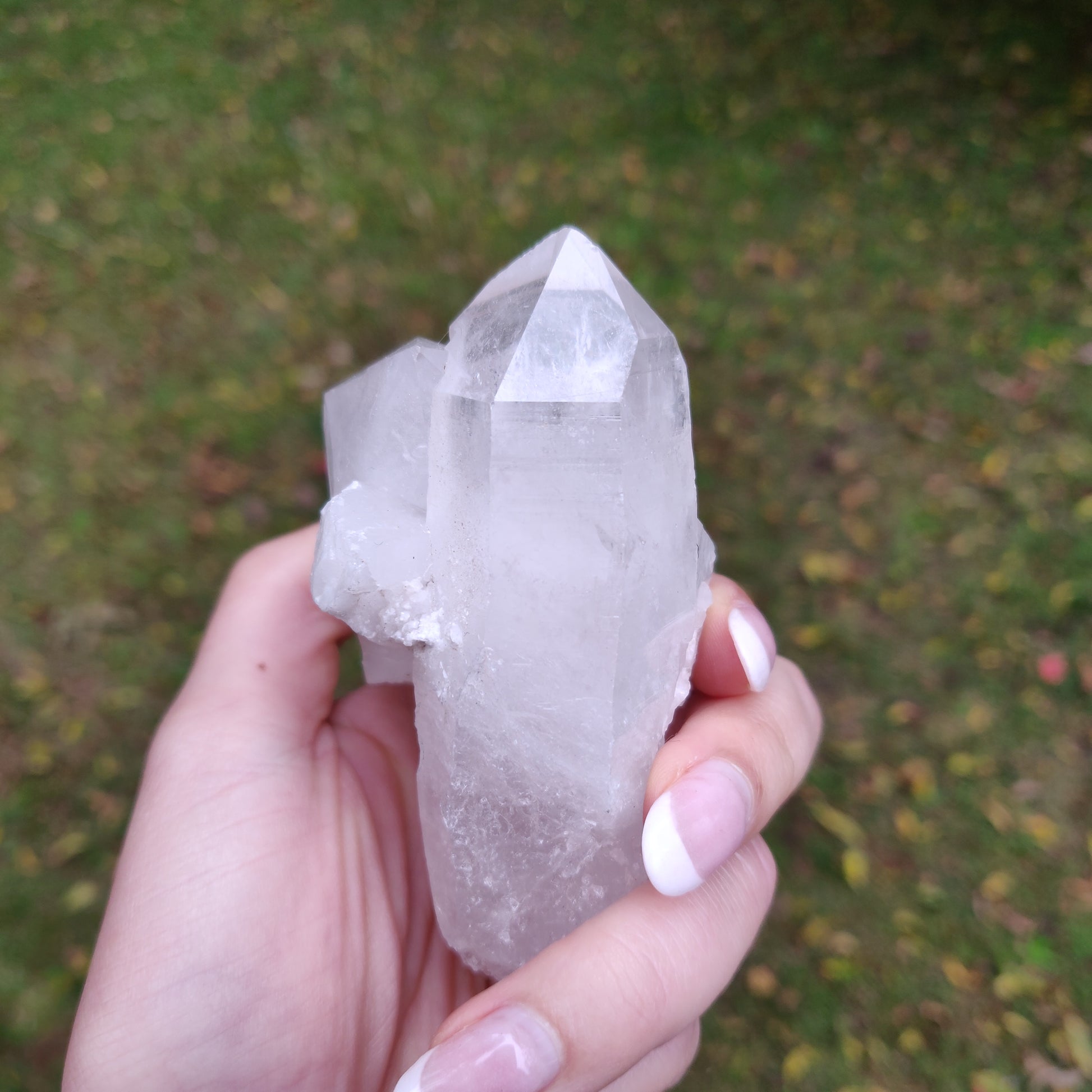 Lemurian Quartz Point (#10) - Simply Affinity