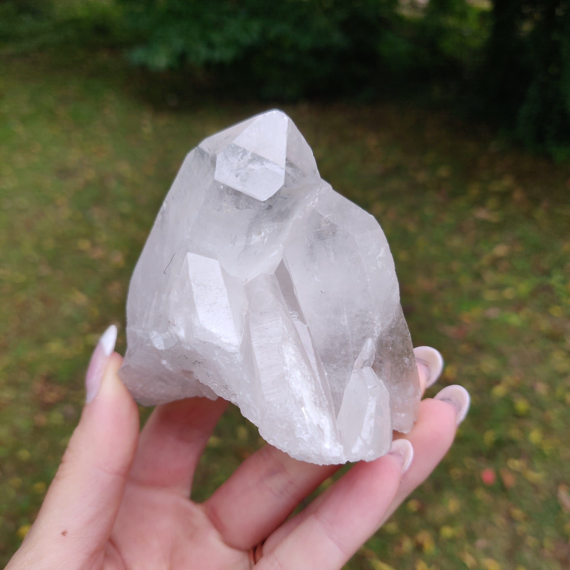 Lemurian Quartz Point (#10) - Simply Affinity