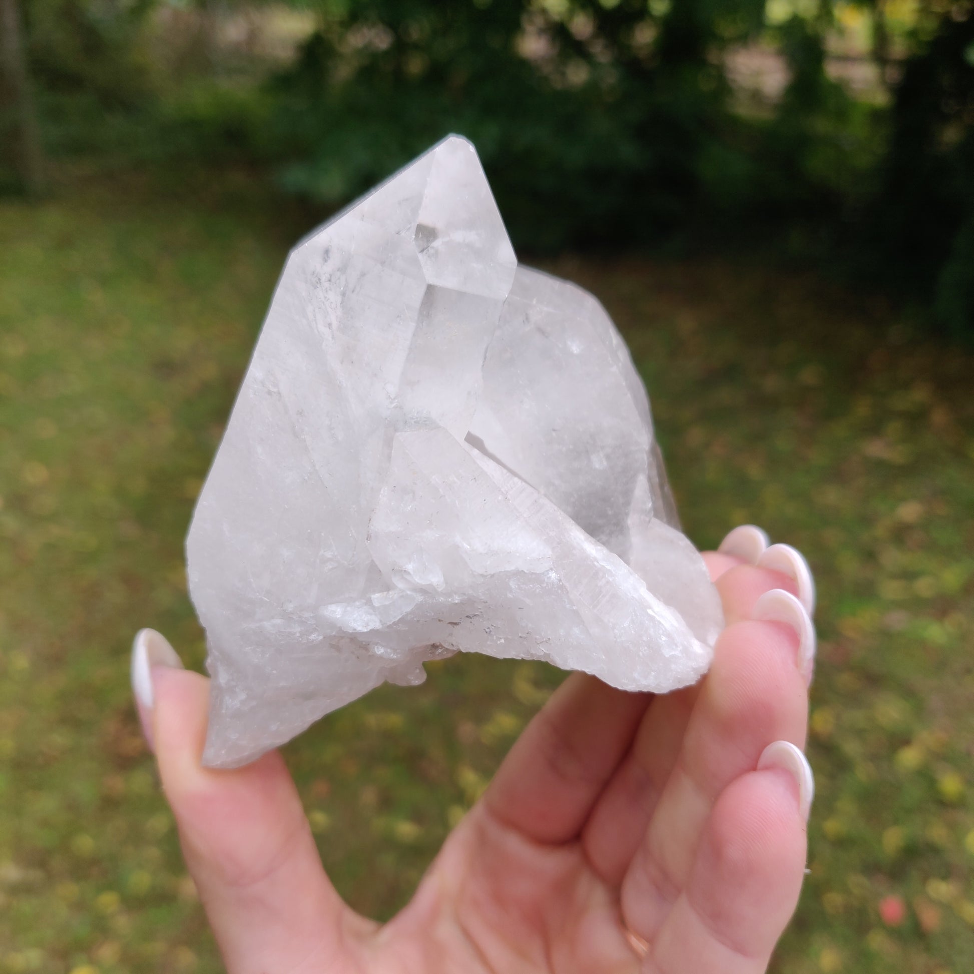 Lemurian Quartz Point (#10) - Simply Affinity