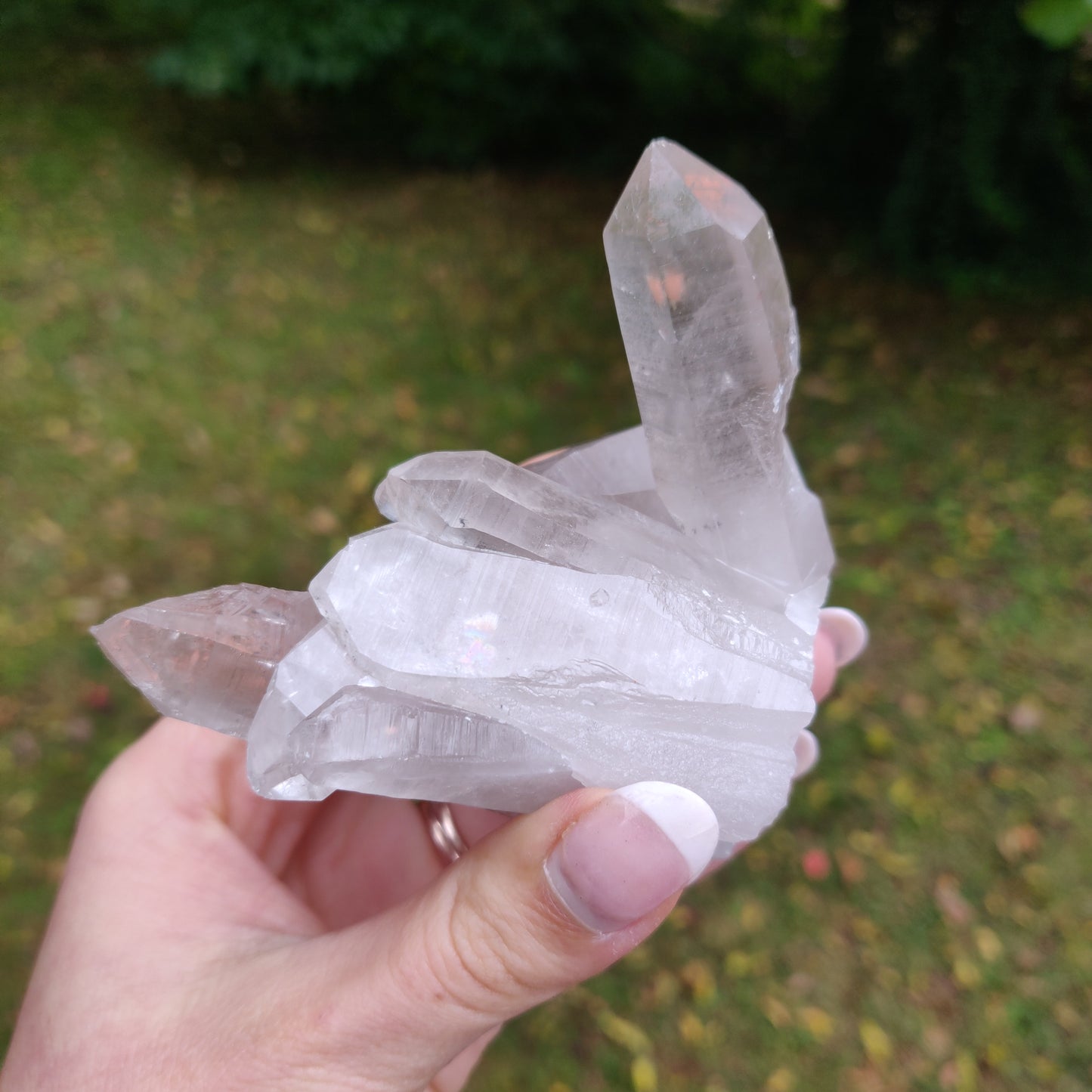 Lemurian Smoky Quartz Cluster (#12) - Simply Affinity