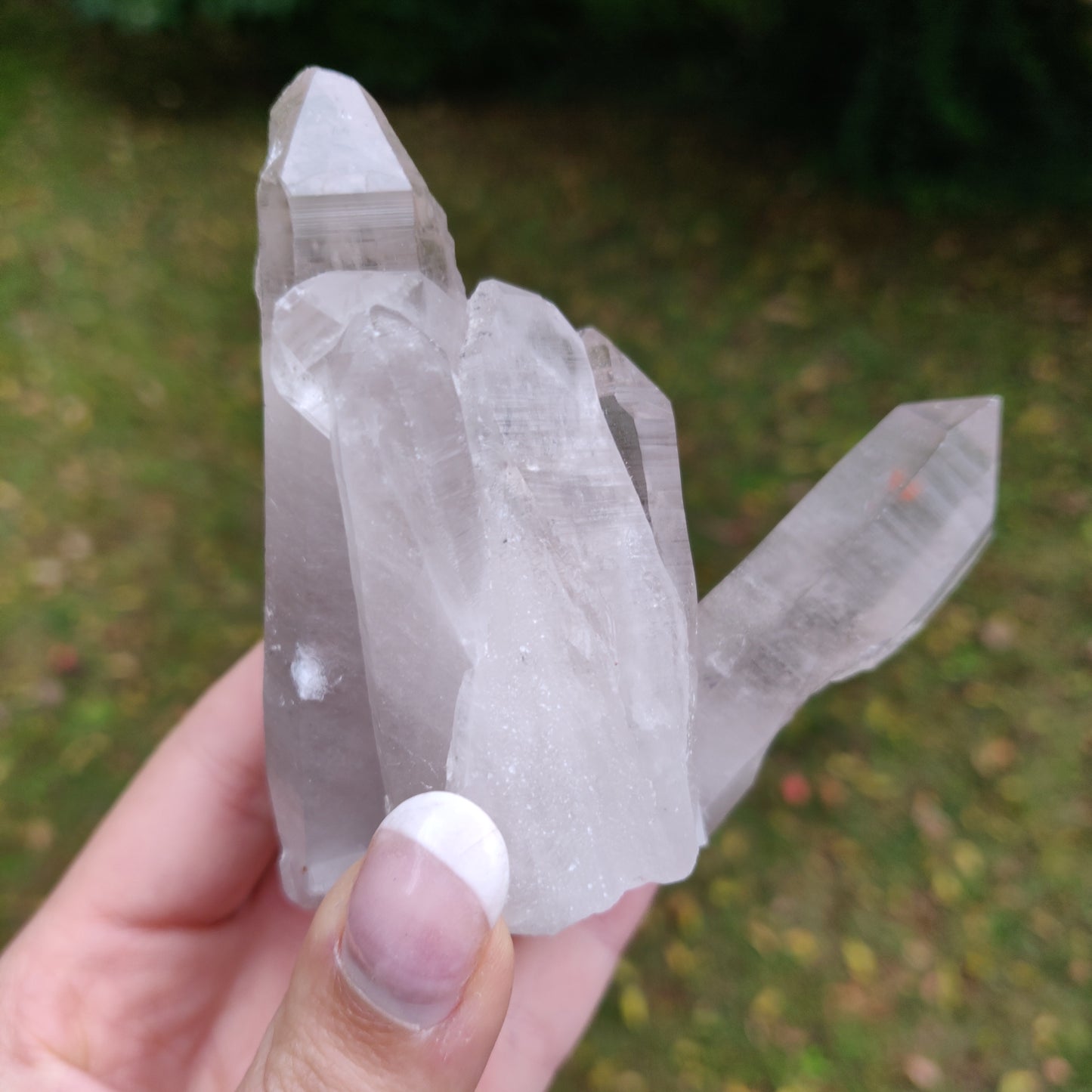 Lemurian Smoky Quartz Cluster (#12) - Simply Affinity
