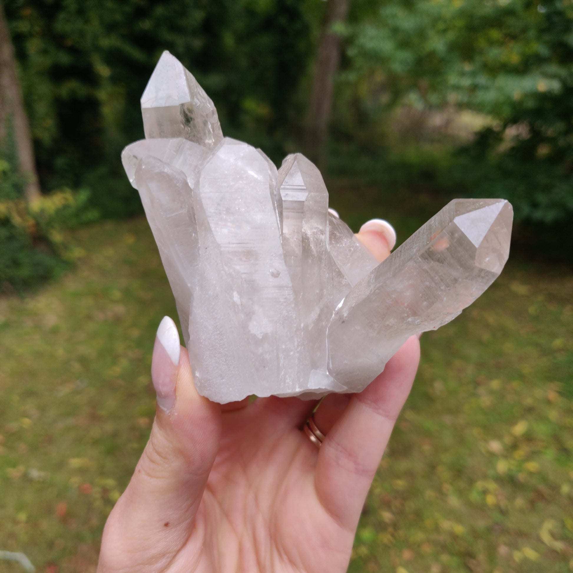 Lemurian Smoky Quartz Cluster (#12) - Simply Affinity
