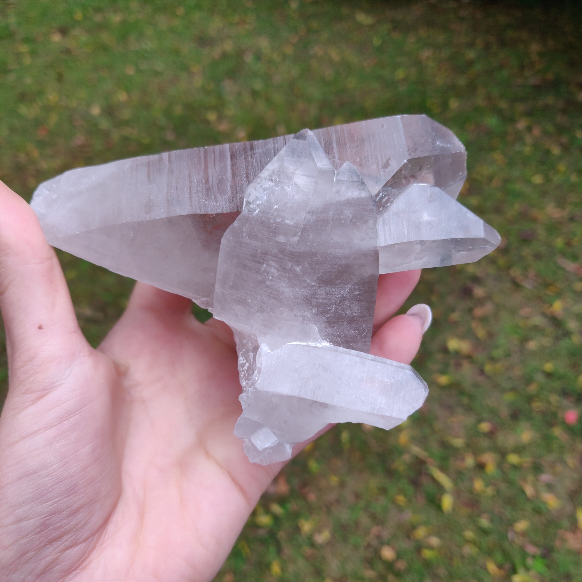 Lemurian Smoky Quartz Point (#11) - Simply Affinity