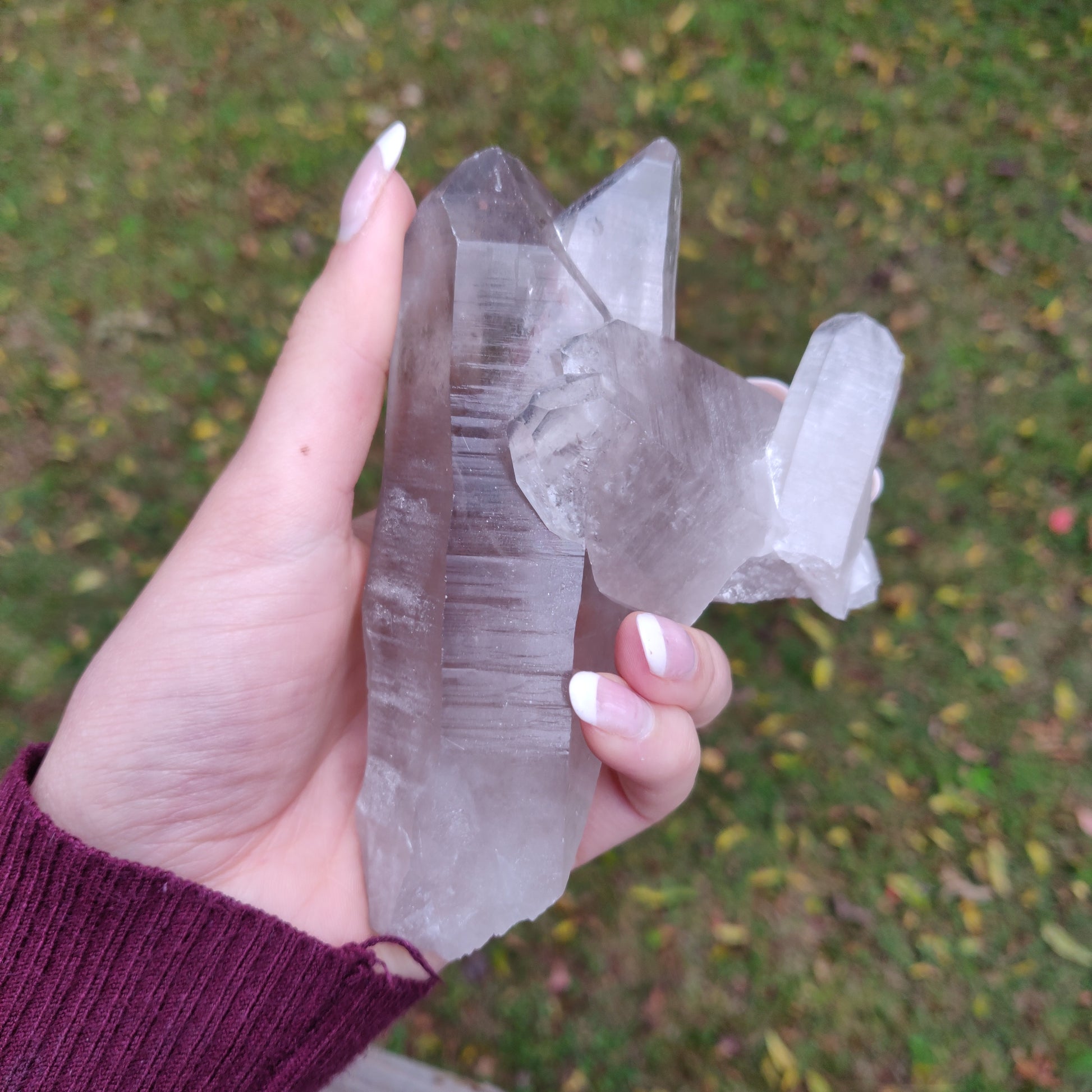 Lemurian Smoky Quartz Point (#11) - Simply Affinity