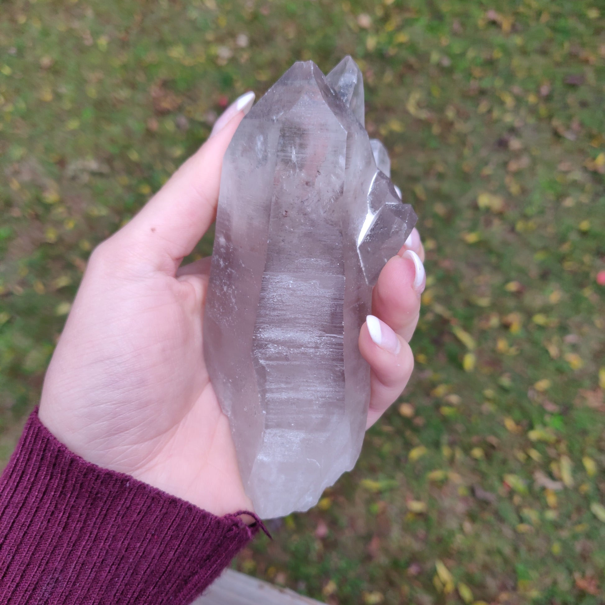 Lemurian Smoky Quartz Point (#11) - Simply Affinity