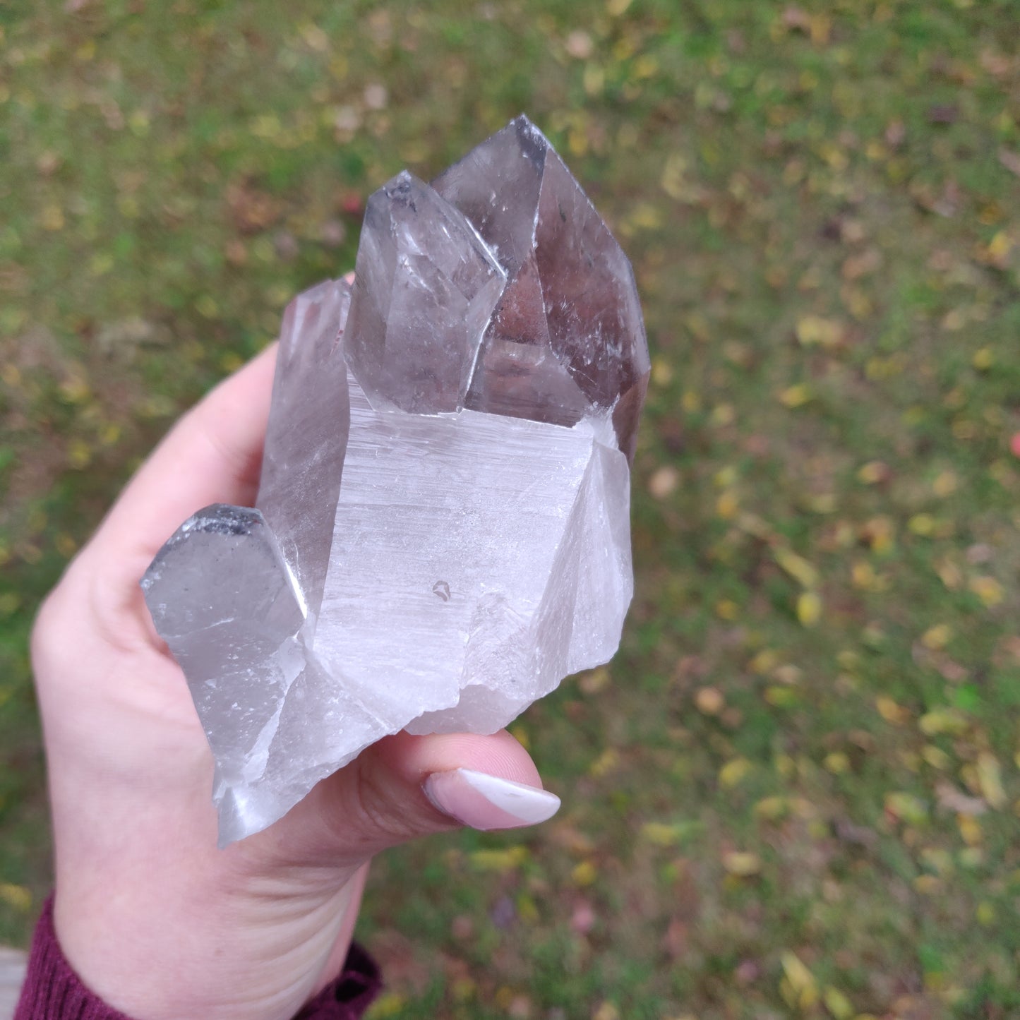 Lemurian Smoky Quartz Point (#11) - Simply Affinity