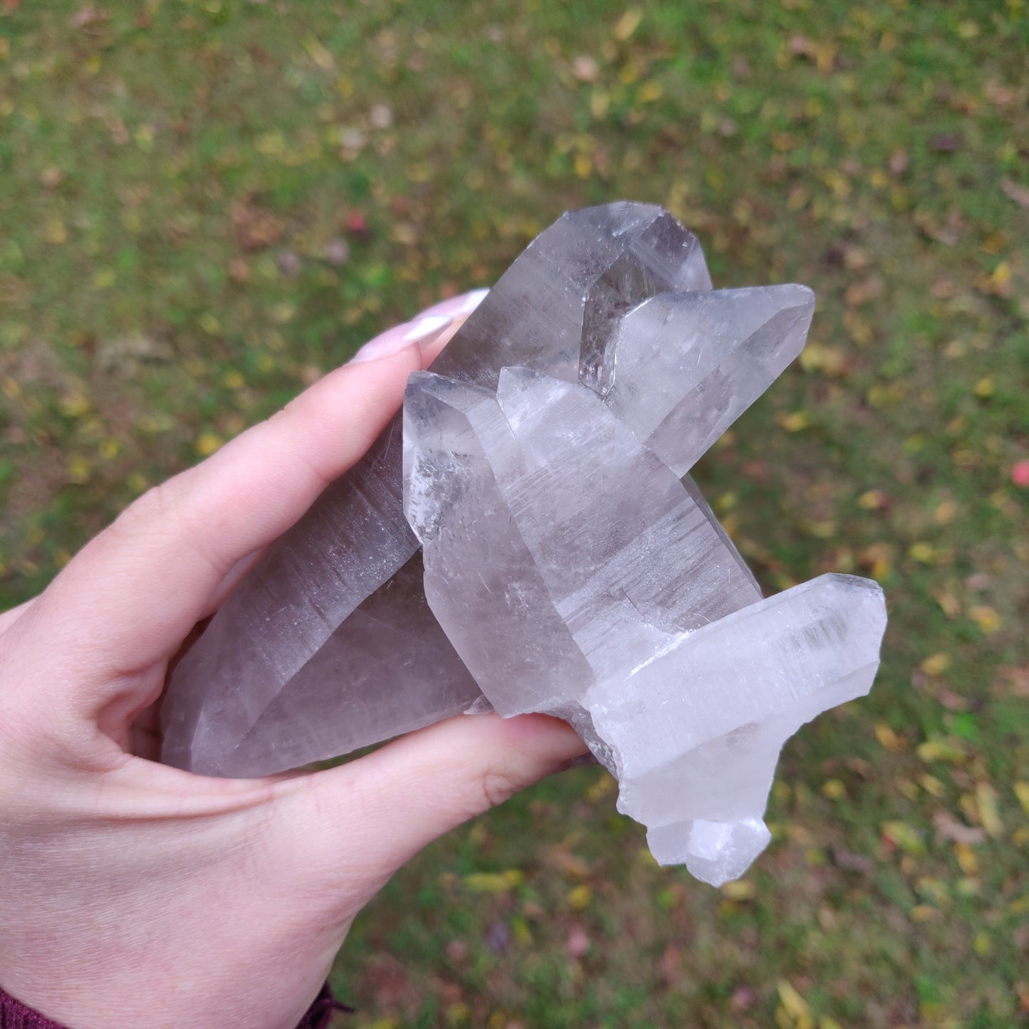 Lemurian Smoky Quartz Point (#11) - Simply Affinity