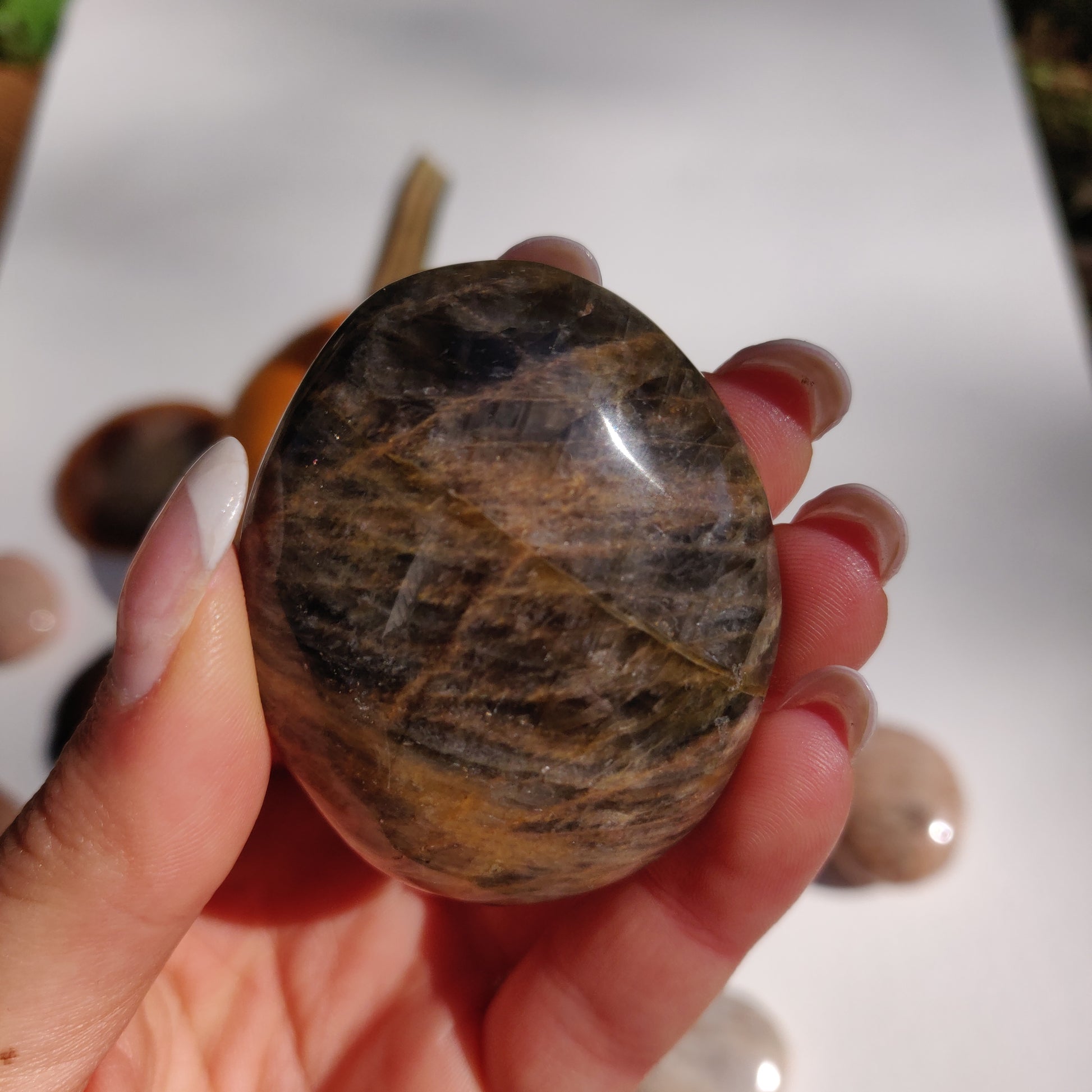 Black Moonstone Palm Stone (#25) - Simply Affinity