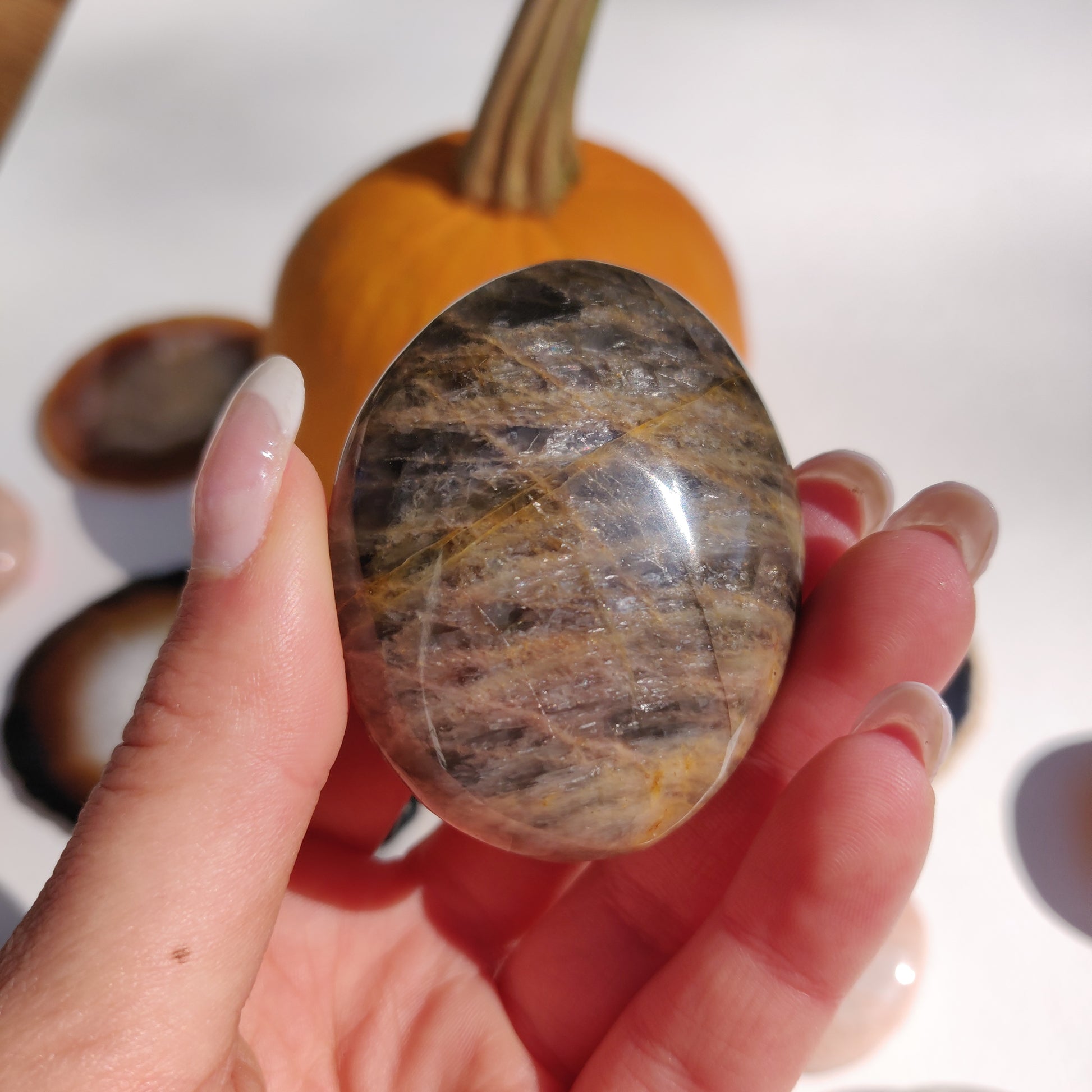 Black Moonstone Palm Stone (#25) - Simply Affinity