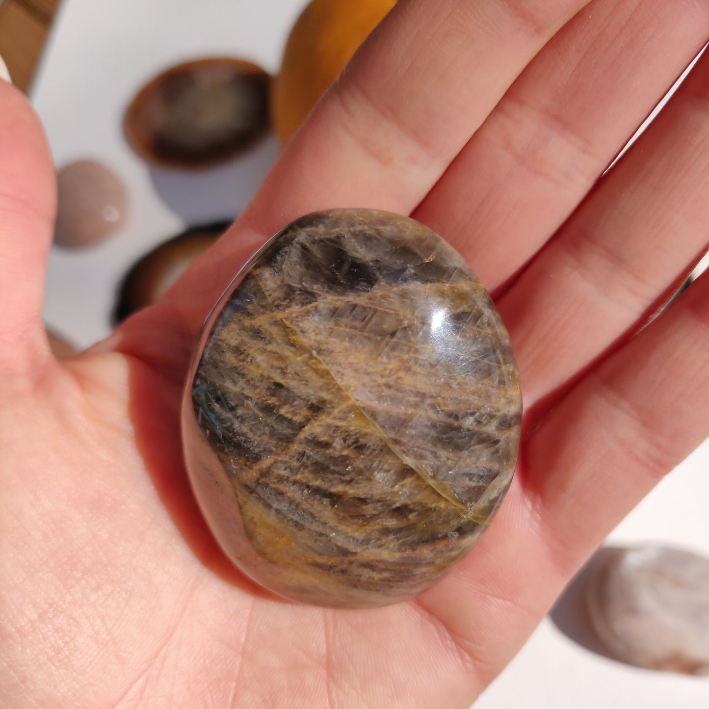 Black Moonstone Palm Stone (#25) - Simply Affinity