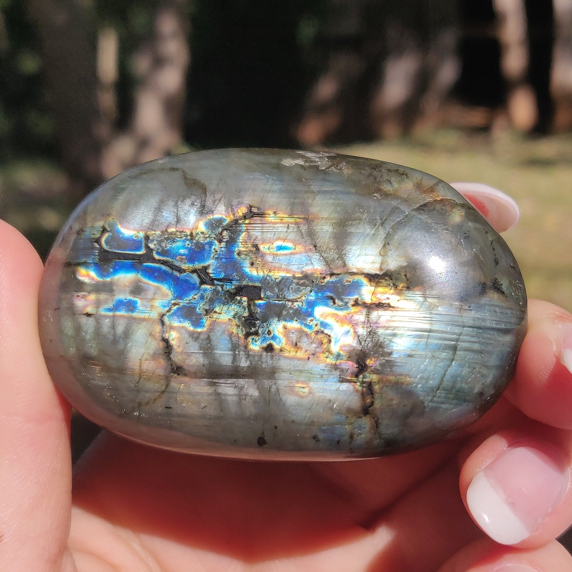 Labradorite Palm Stone (#186) - Simply Affinity