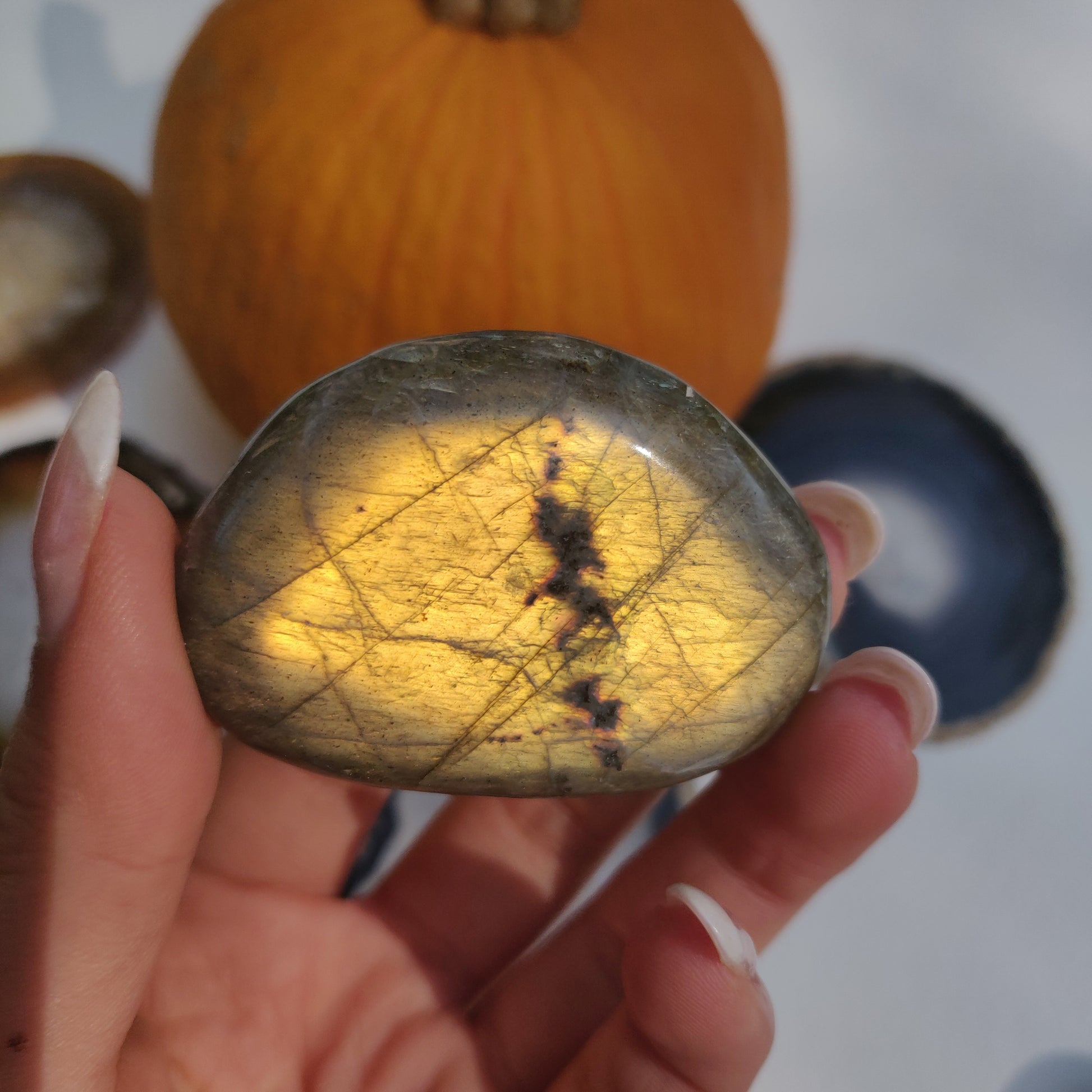 Labradorite Palm Stone (#216) - Simply Affinity