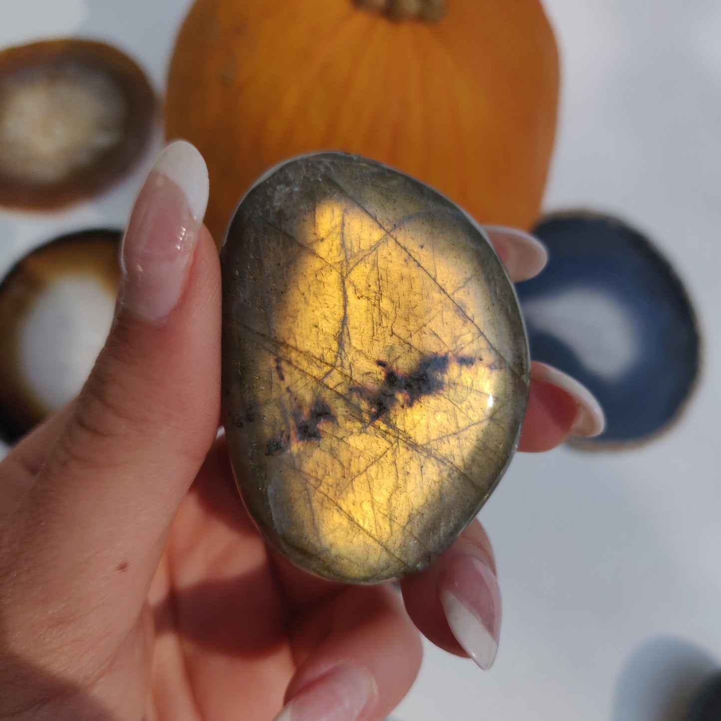 Labradorite Palm Stone (#216) - Simply Affinity