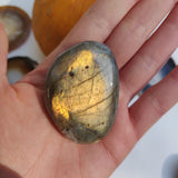 Labradorite Palm Stone (#216) - Simply Affinity