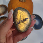 Labradorite Palm Stone (#216) - Simply Affinity
