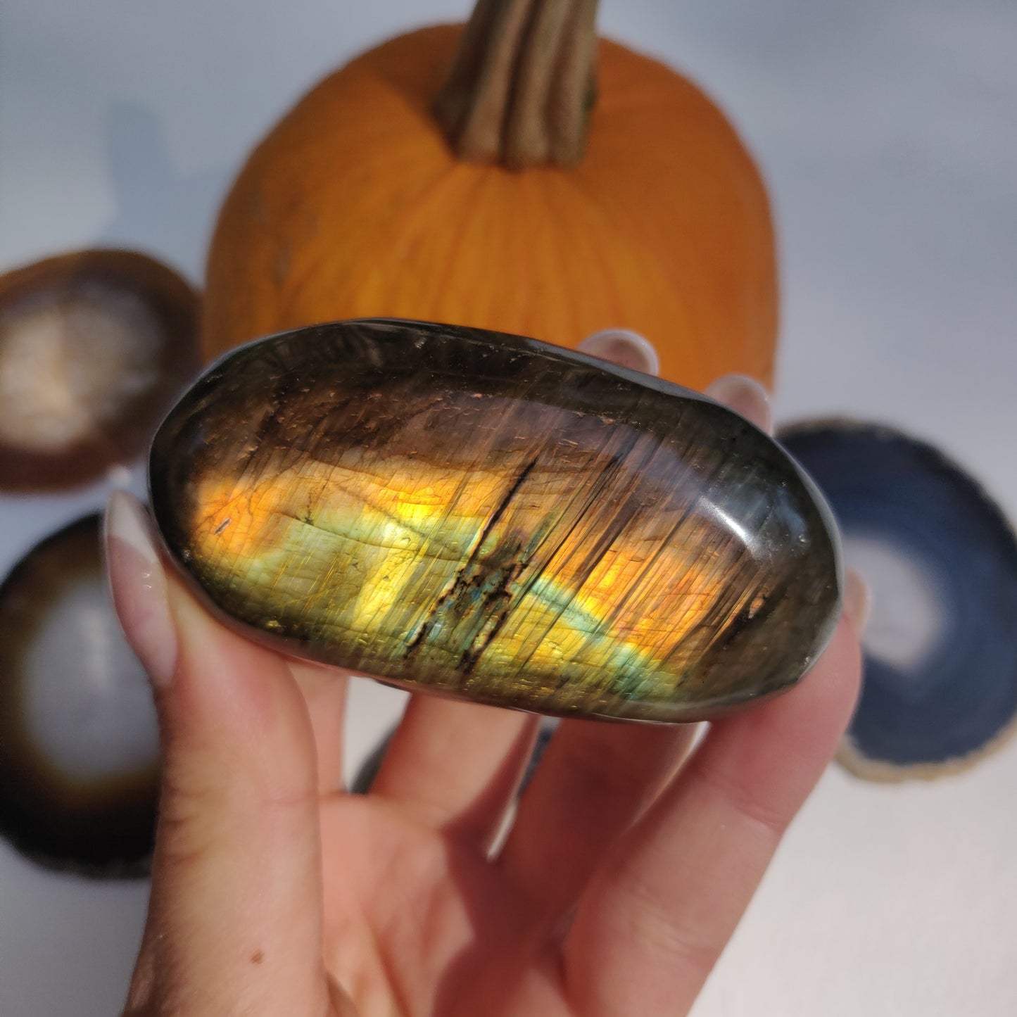Labradorite Palm Stone (#265) - Simply Affinity