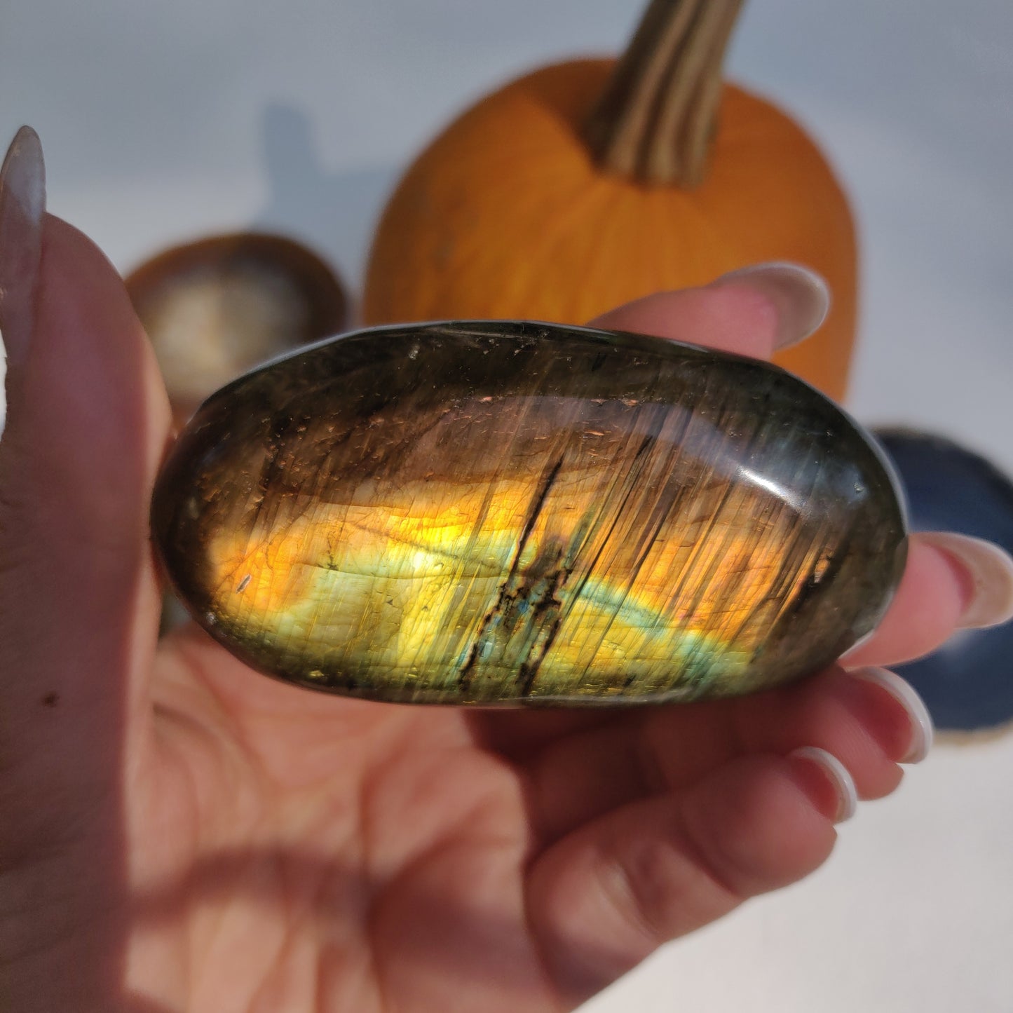 Labradorite Palm Stone (#265) - Simply Affinity