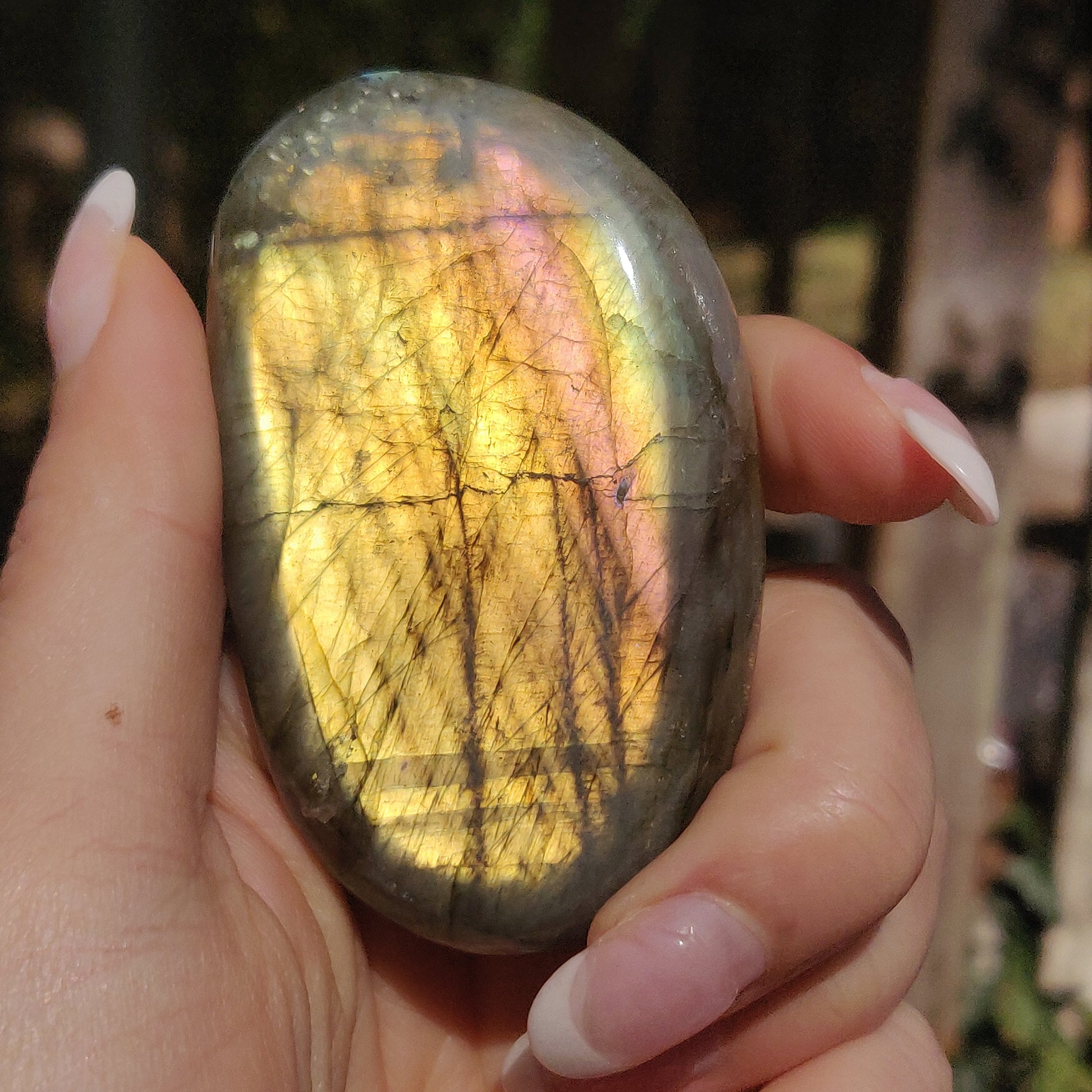 Labradorite Palm Stone (#268) - Simply Affinity