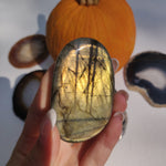 Labradorite Palm Stone (#268) - Simply Affinity