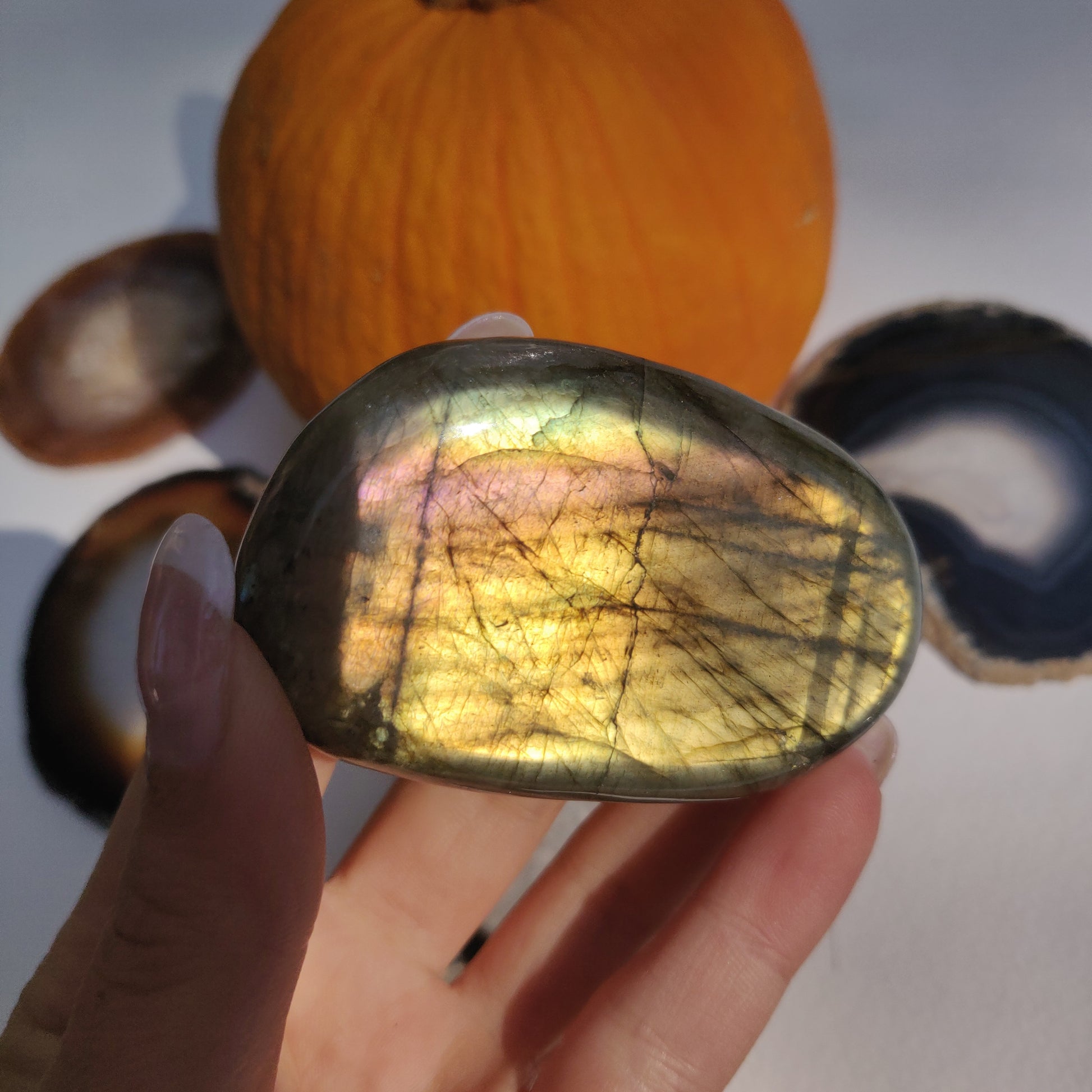 Labradorite Palm Stone (#268) - Simply Affinity