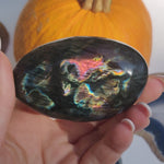 Labradorite Palm Stone (#270) - Simply Affinity