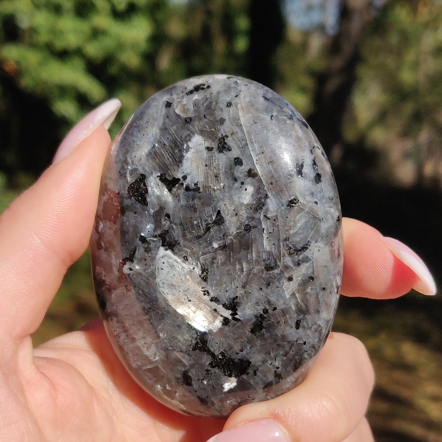 Larvikite Palm Stone (#11) - Simply Affinity