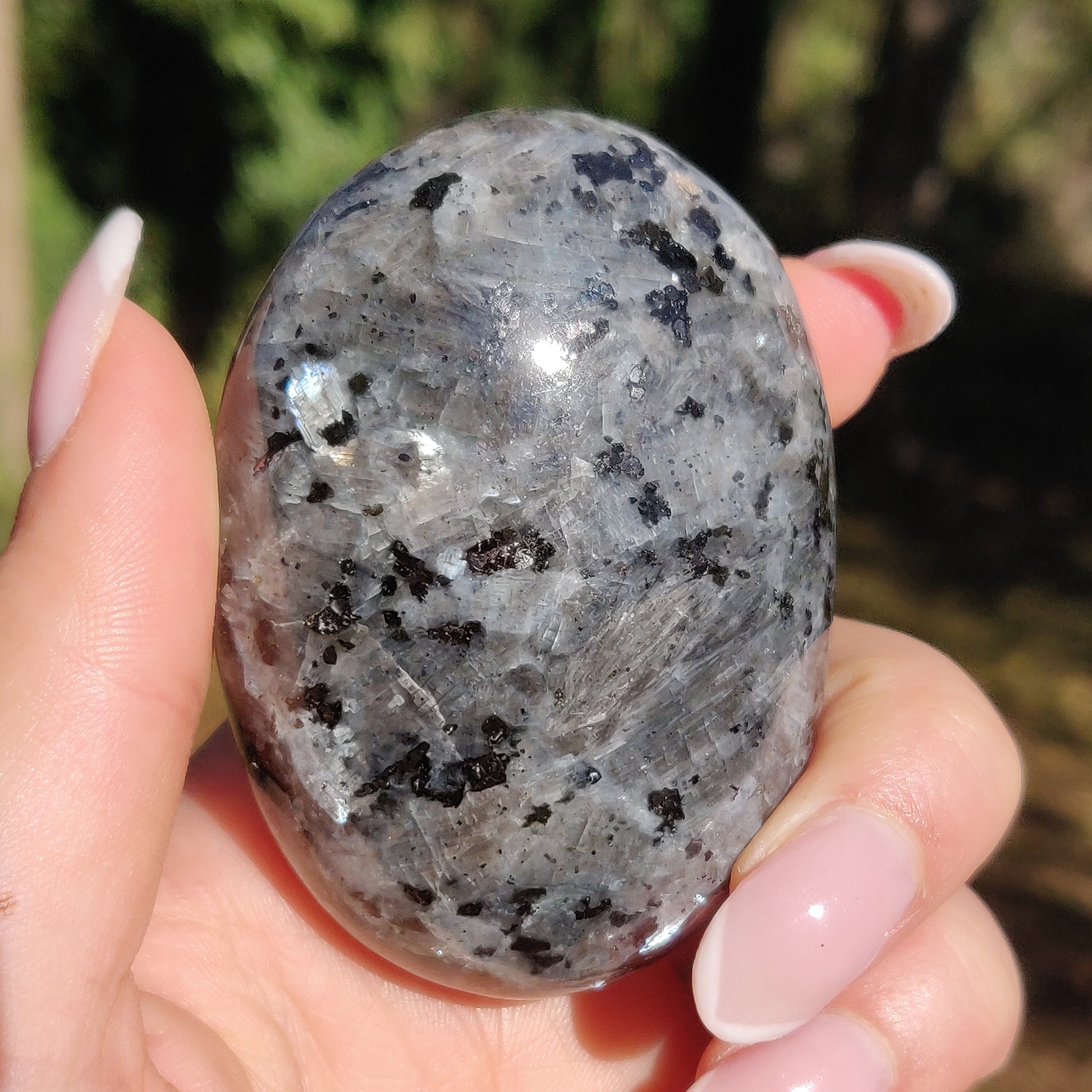 Larvikite Palm Stone (#12) - Simply Affinity