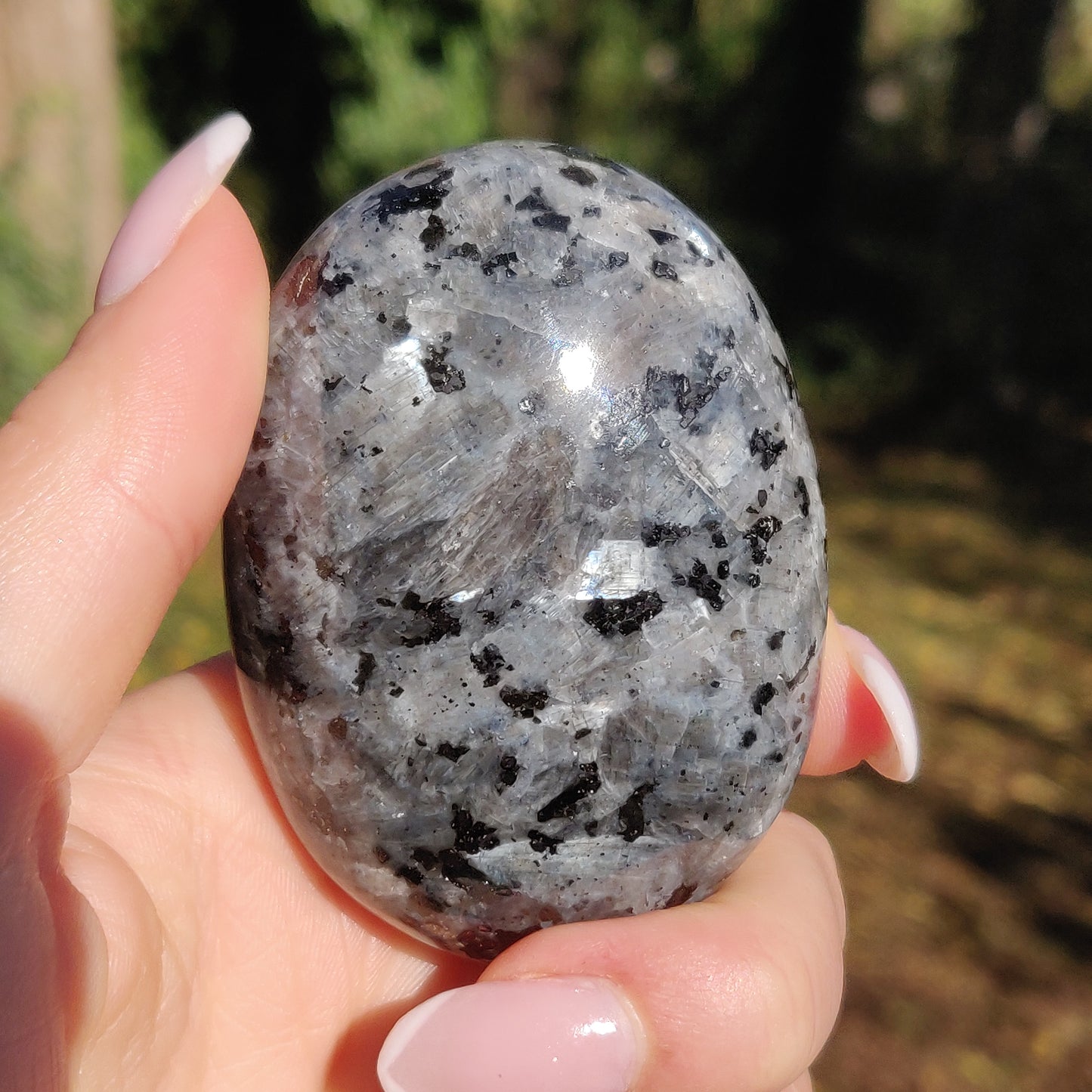 Larvikite Palm Stone (#12) - Simply Affinity