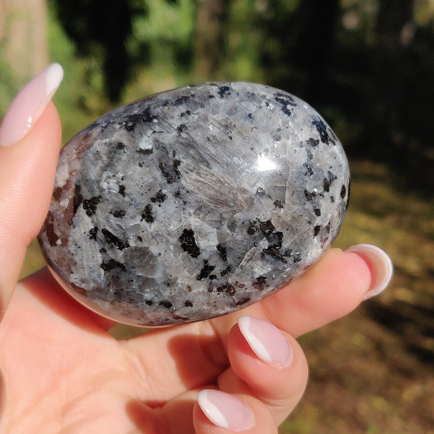 Larvikite Palm Stone (#12) - Simply Affinity