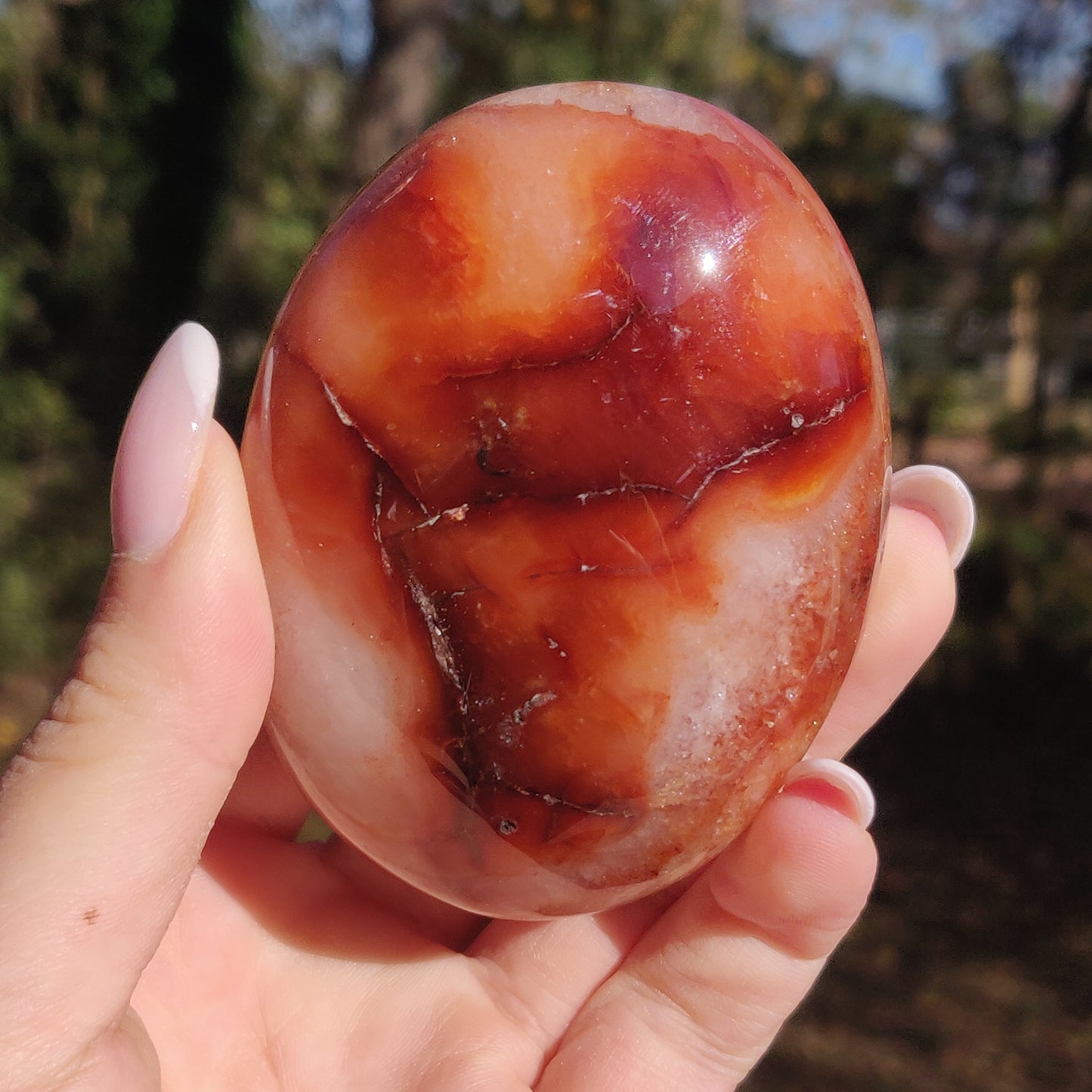 Carnelian Palm Stone (#1) - Simply Affinity