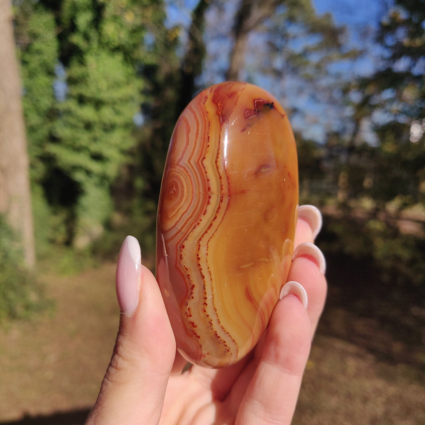 Carnelian Palm Stone (#5) - Simply Affinity