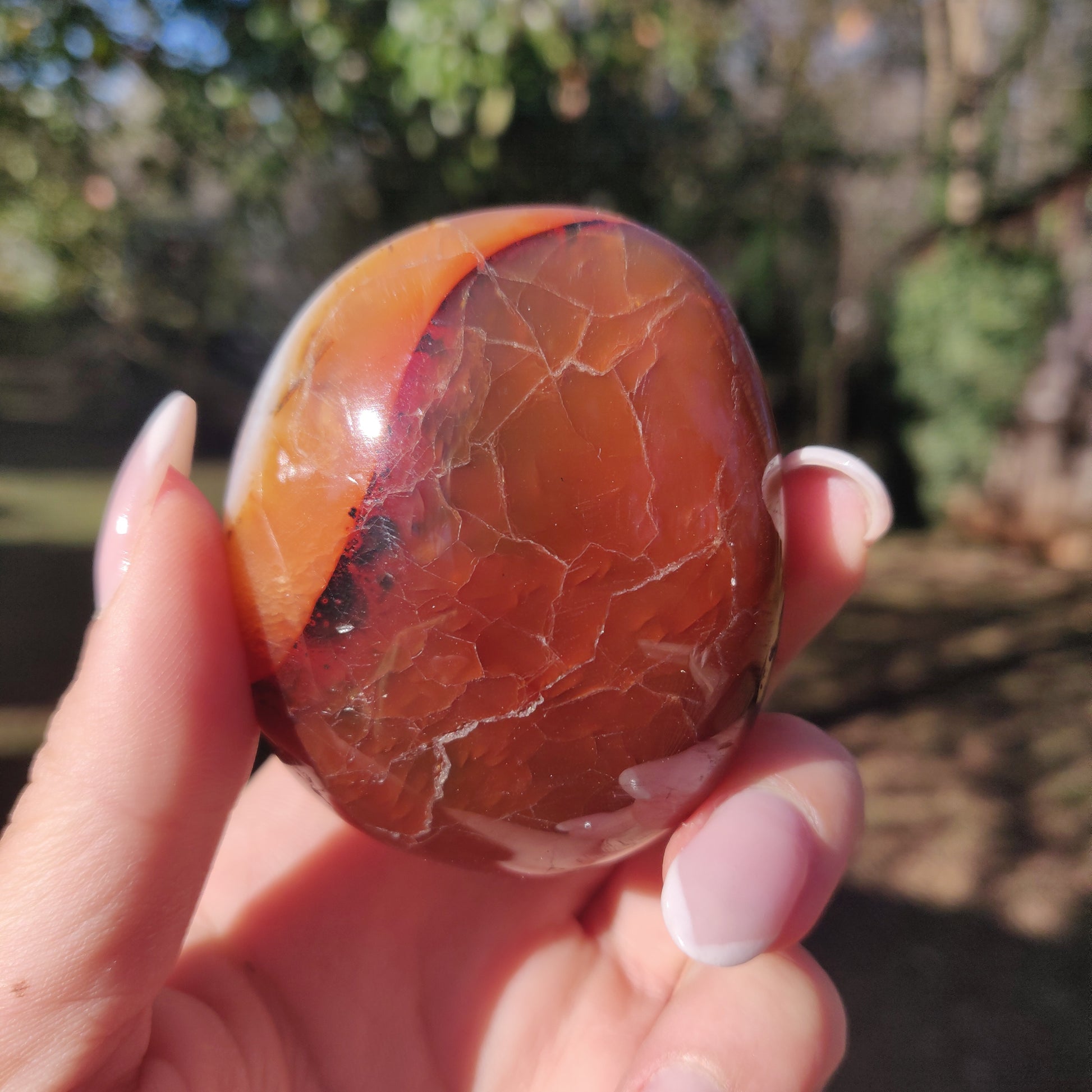 Carnelian Palm Stone (#6) - Simply Affinity