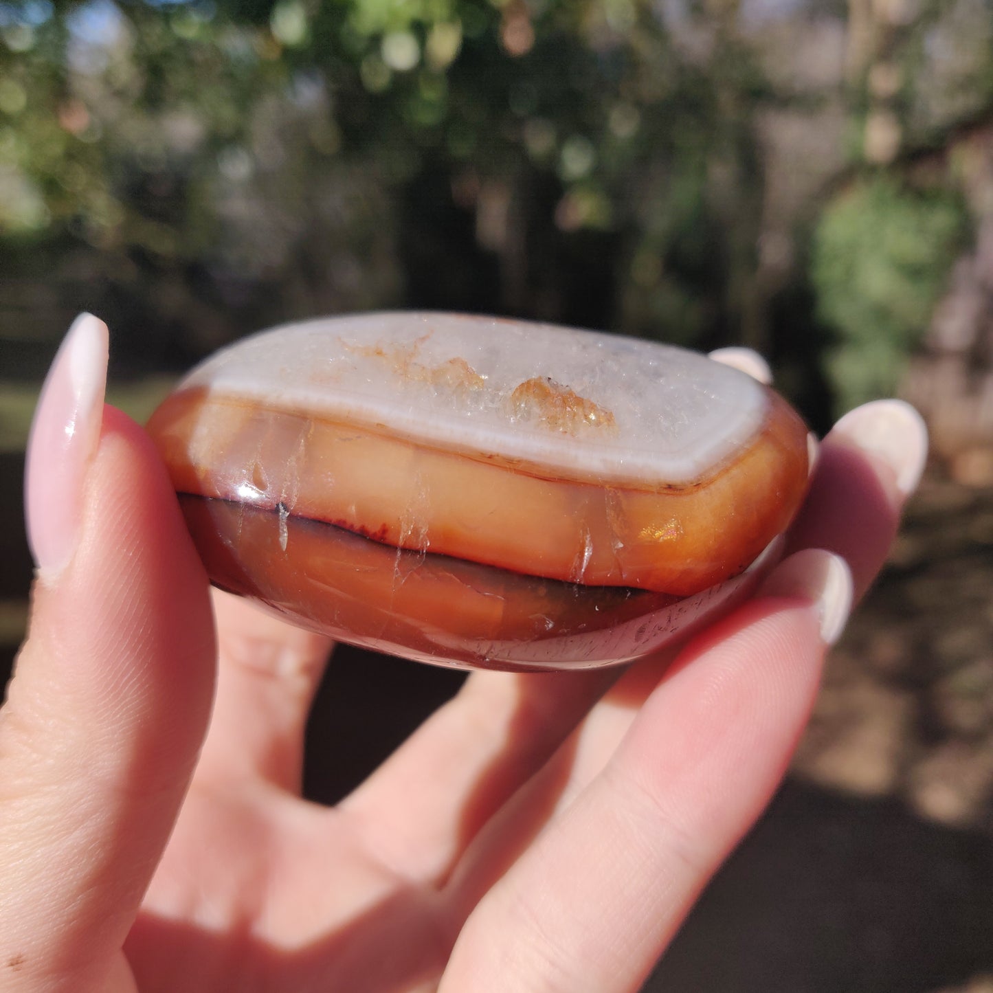 Carnelian Palm Stone (#6) - Simply Affinity