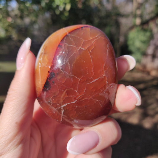 Carnelian Palm Stone (#6) - Simply Affinity