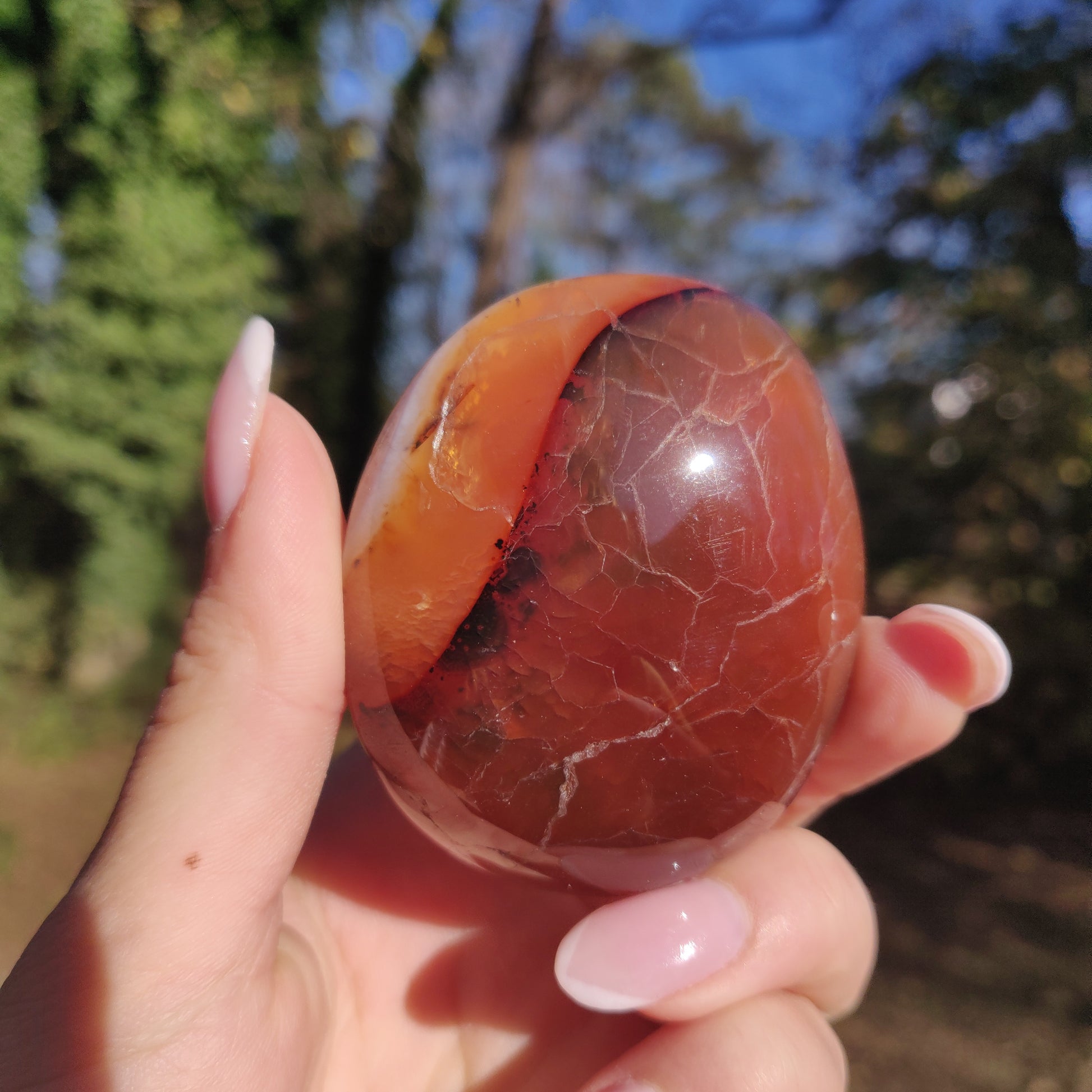Carnelian Palm Stone (#6) - Simply Affinity