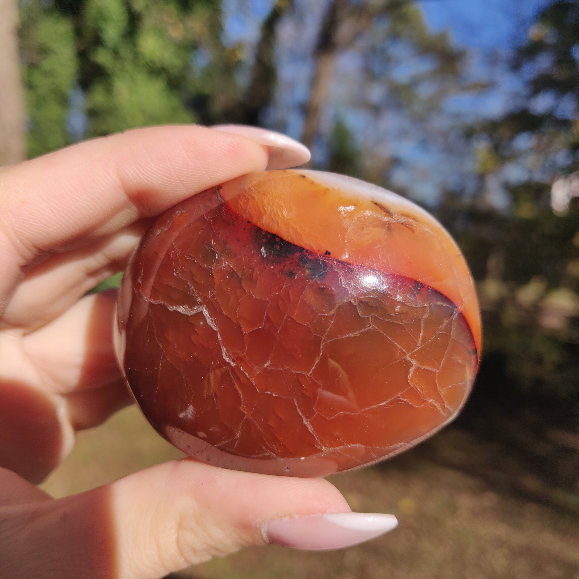 Carnelian Palm Stone (#6) - Simply Affinity