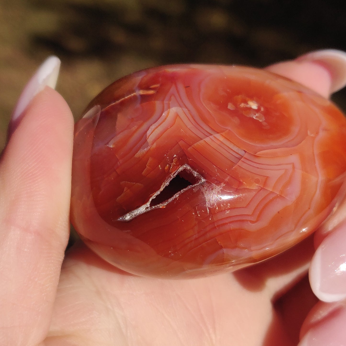 Carnelian Palm Stone (#18) - Simply Affinity