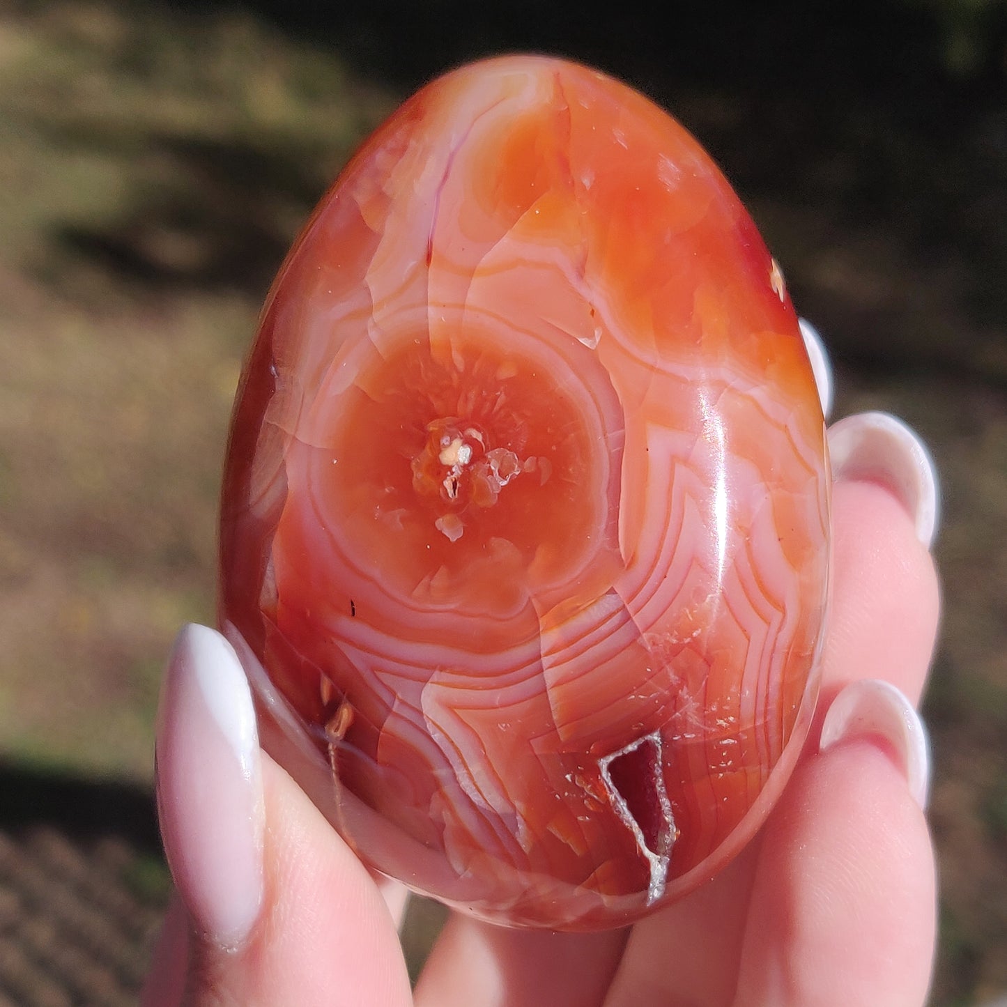 Carnelian Palm Stone (#18) - Simply Affinity